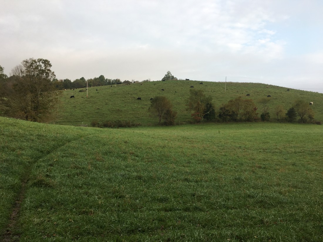 1B35DF87-6AE1-418C-B759-25F8AD6A13FE