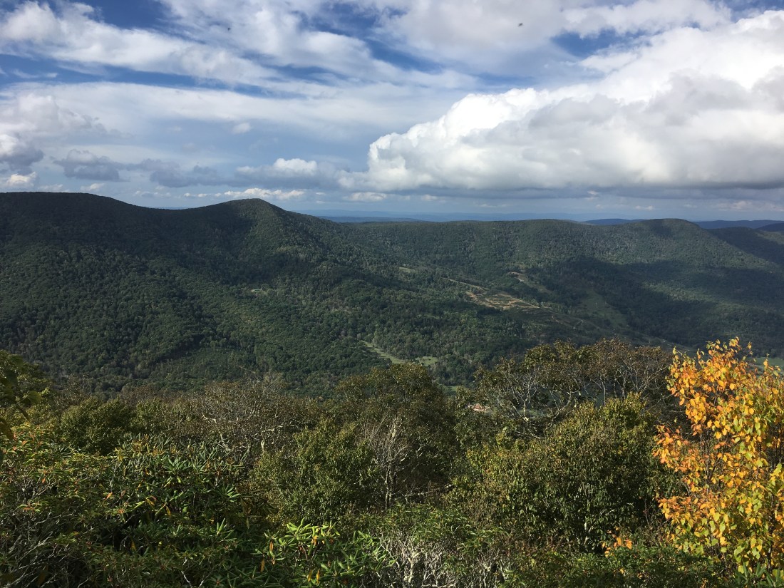 1E13F11B-1C0D-4729-B4BF-632F14C46131