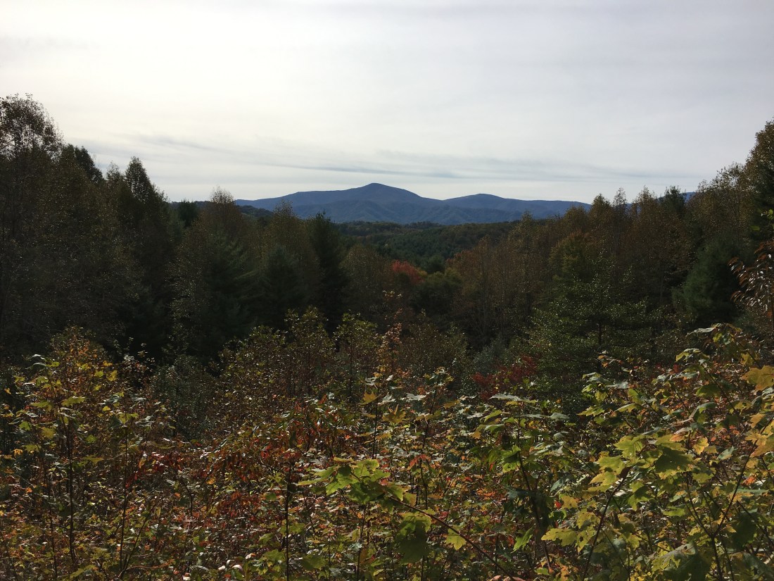 3A032FDC-5DC6-4B33-ABF2-F81B215870C4