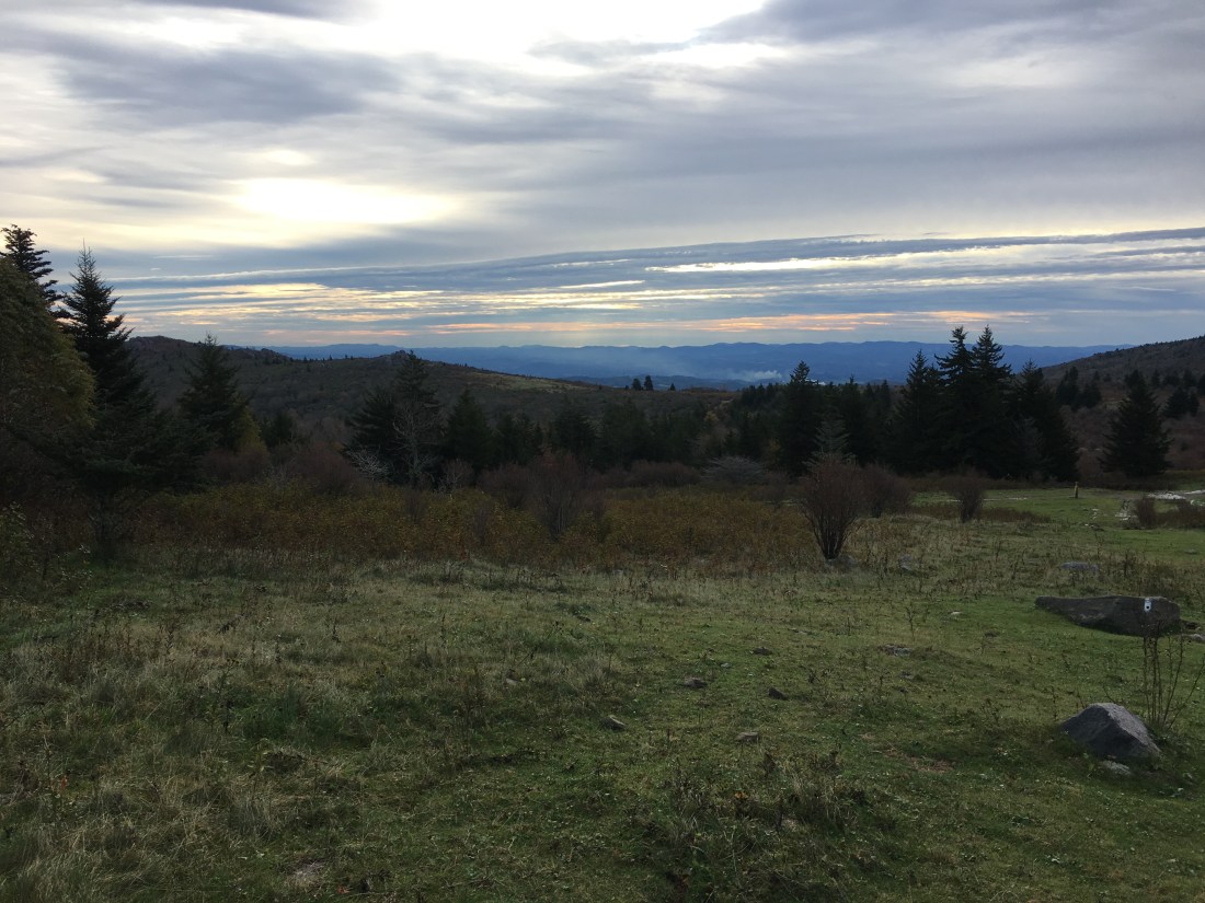 3C4BD2D6-5BDF-4AED-ACCB-EB9D8AAD1B7B