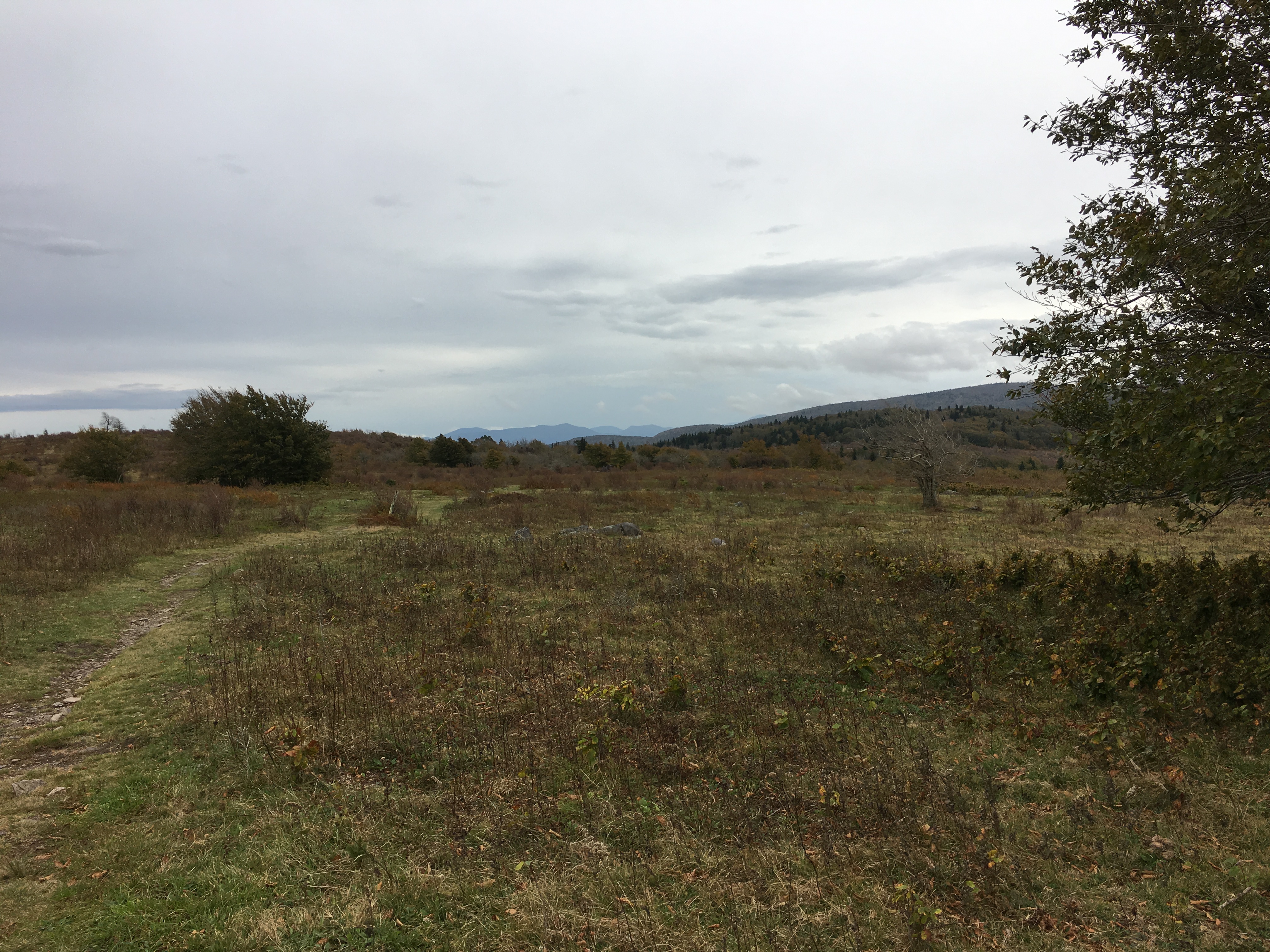 3F720347-E76E-4942-A147-FB34DC3B283C