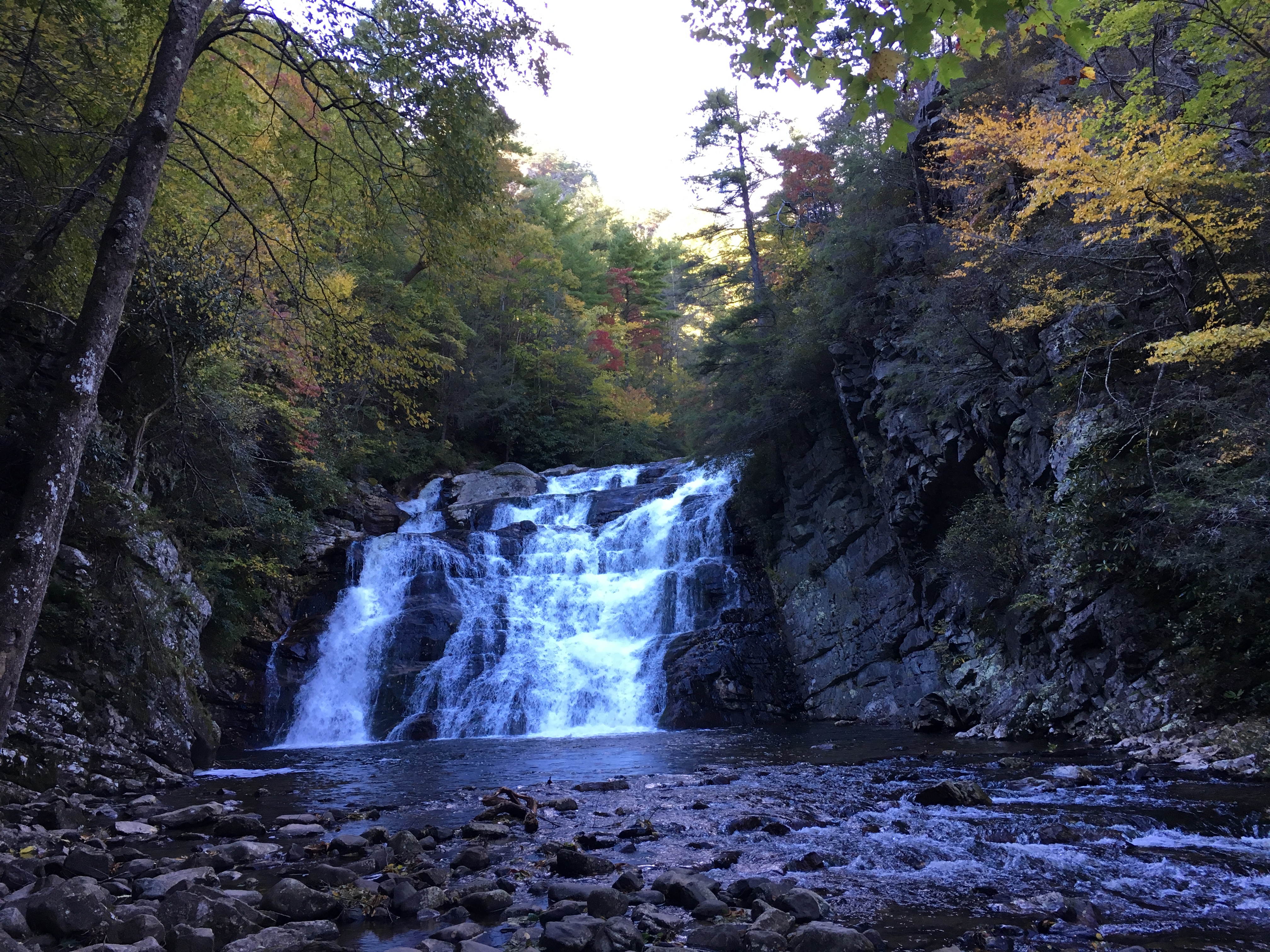 411F1A34-84B7-4504-B913-EF86FDA66AC7