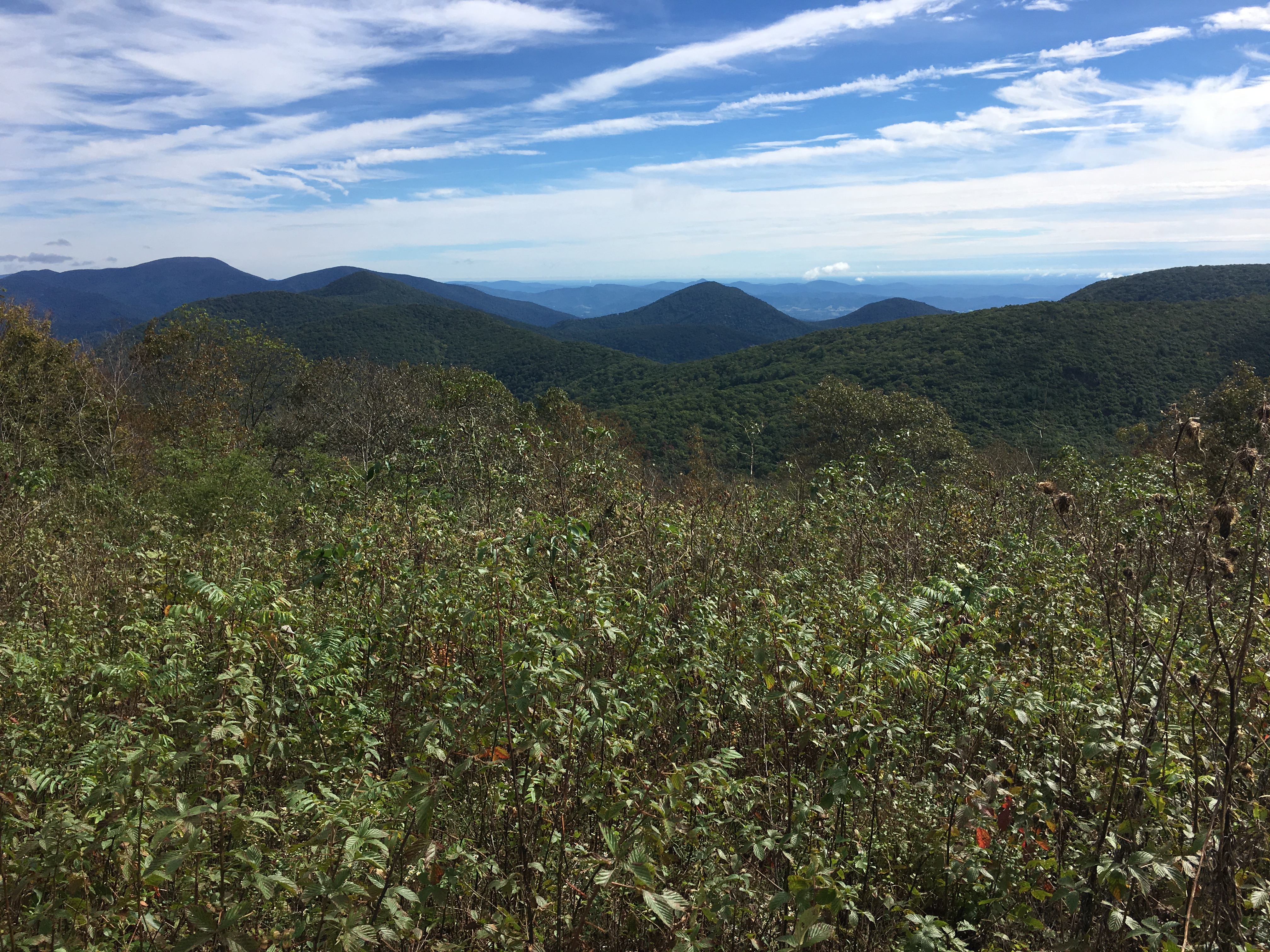 46DFE98C-EBB4-4D84-BB32-5BB7E59EE394