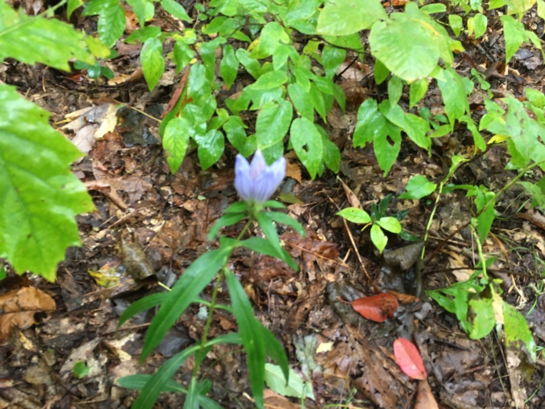 4D7A7D1C-3BC6-48B9-B097-7952E881CF5A