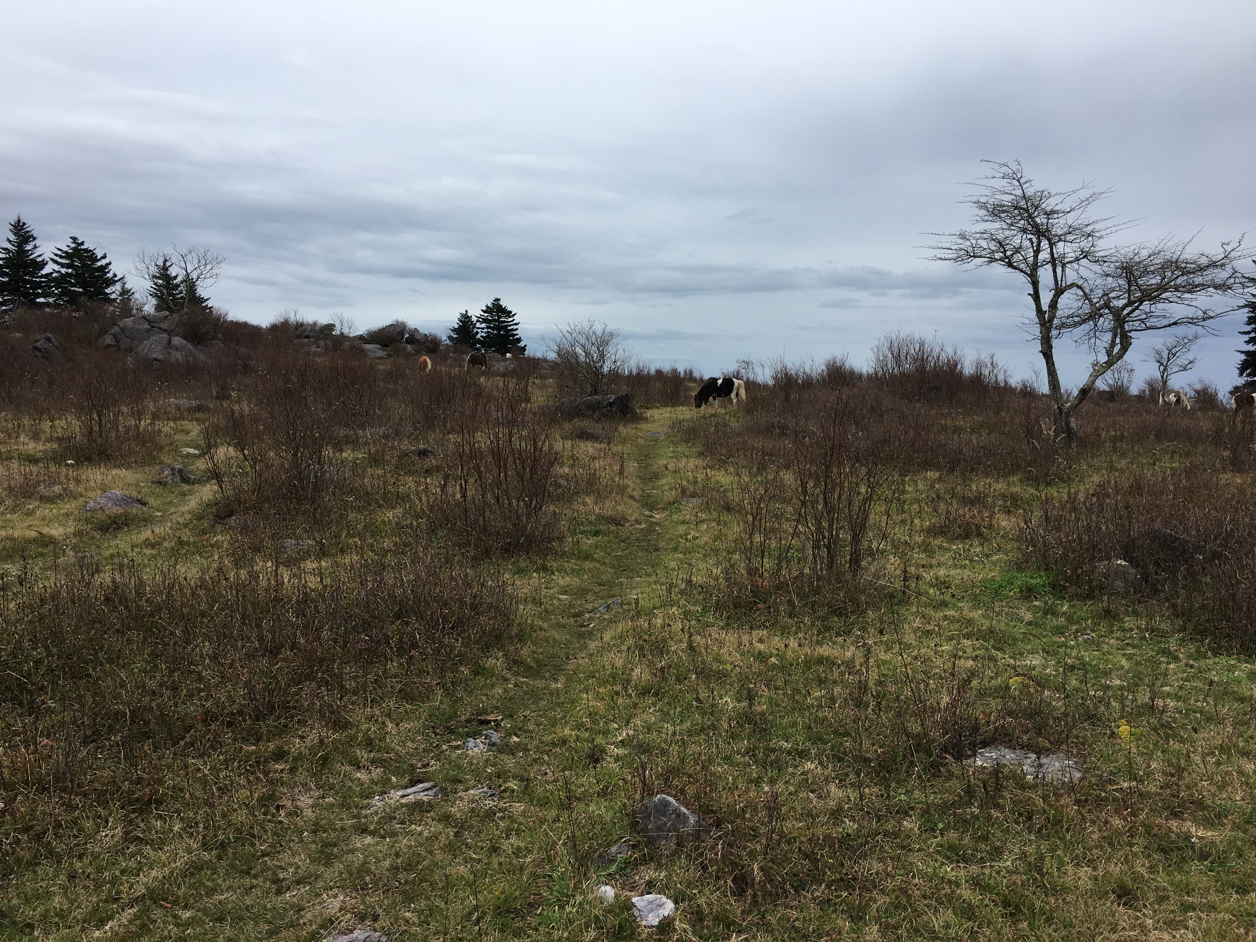 4DA0E0F1-2BE2-4AEF-A2A8-6629BFFE1F2C