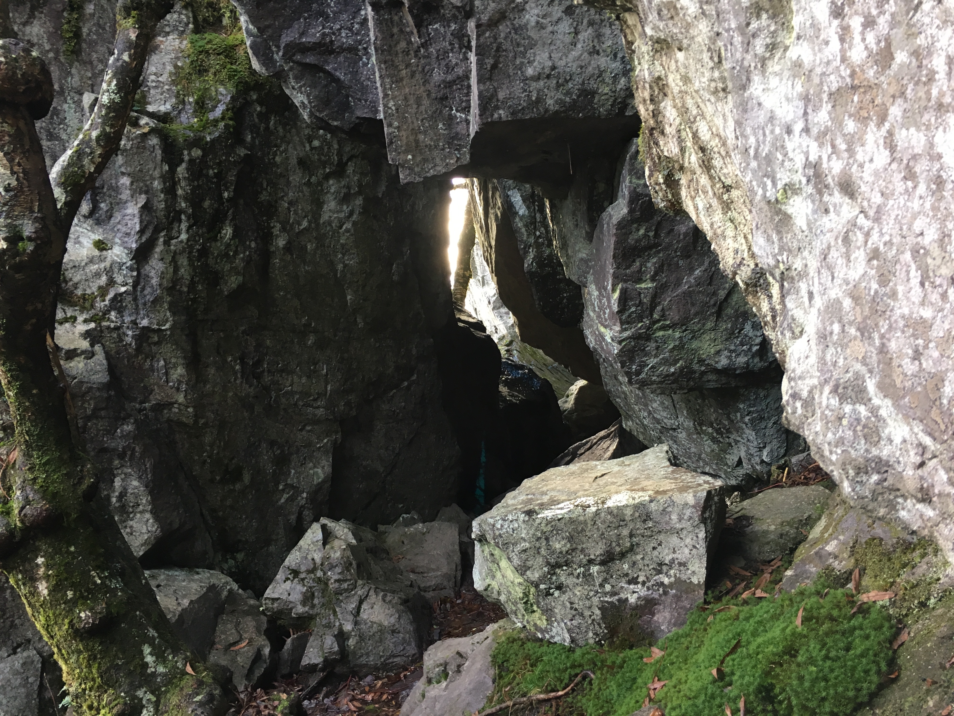 54445374-7D4D-40A3-8A98-6F0D063D8704