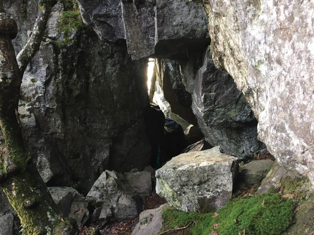 54445374-7D4D-40A3-8A98-6F0D063D8704