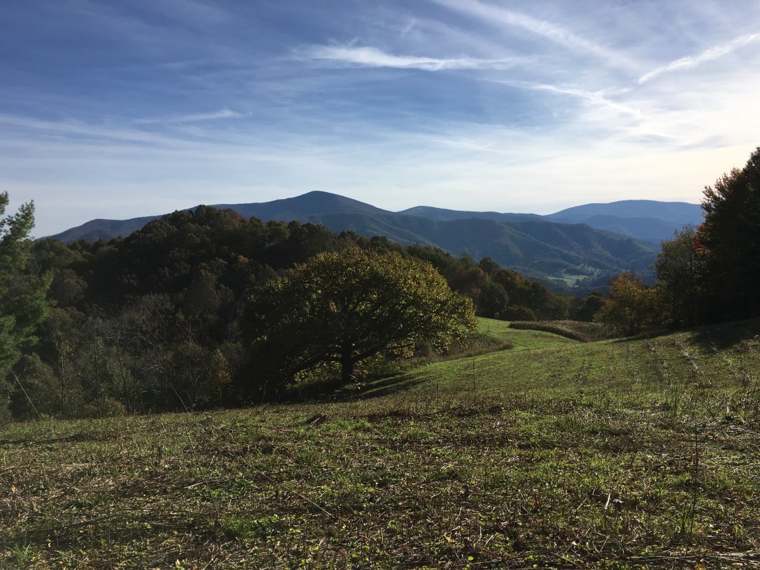 54D7A167-59A8-4AB4-8F4F-4123E841798A