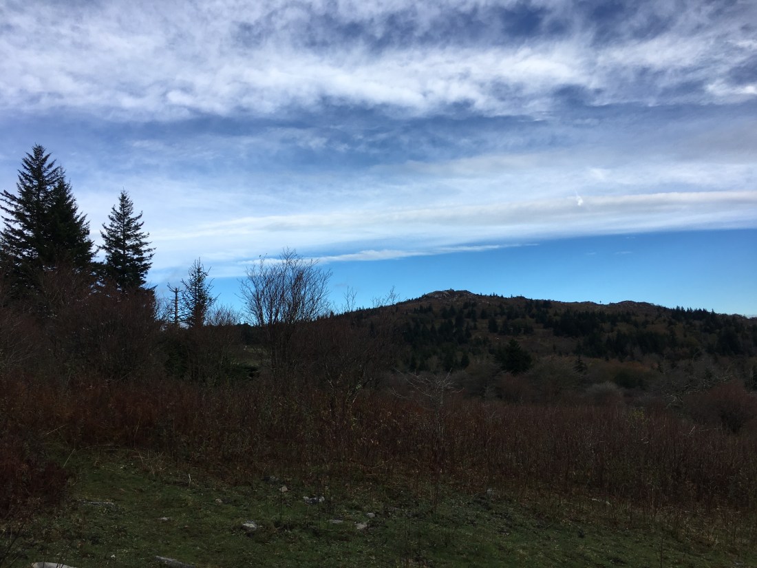 5854E600-E6C9-4E99-B32A-5B3450140459