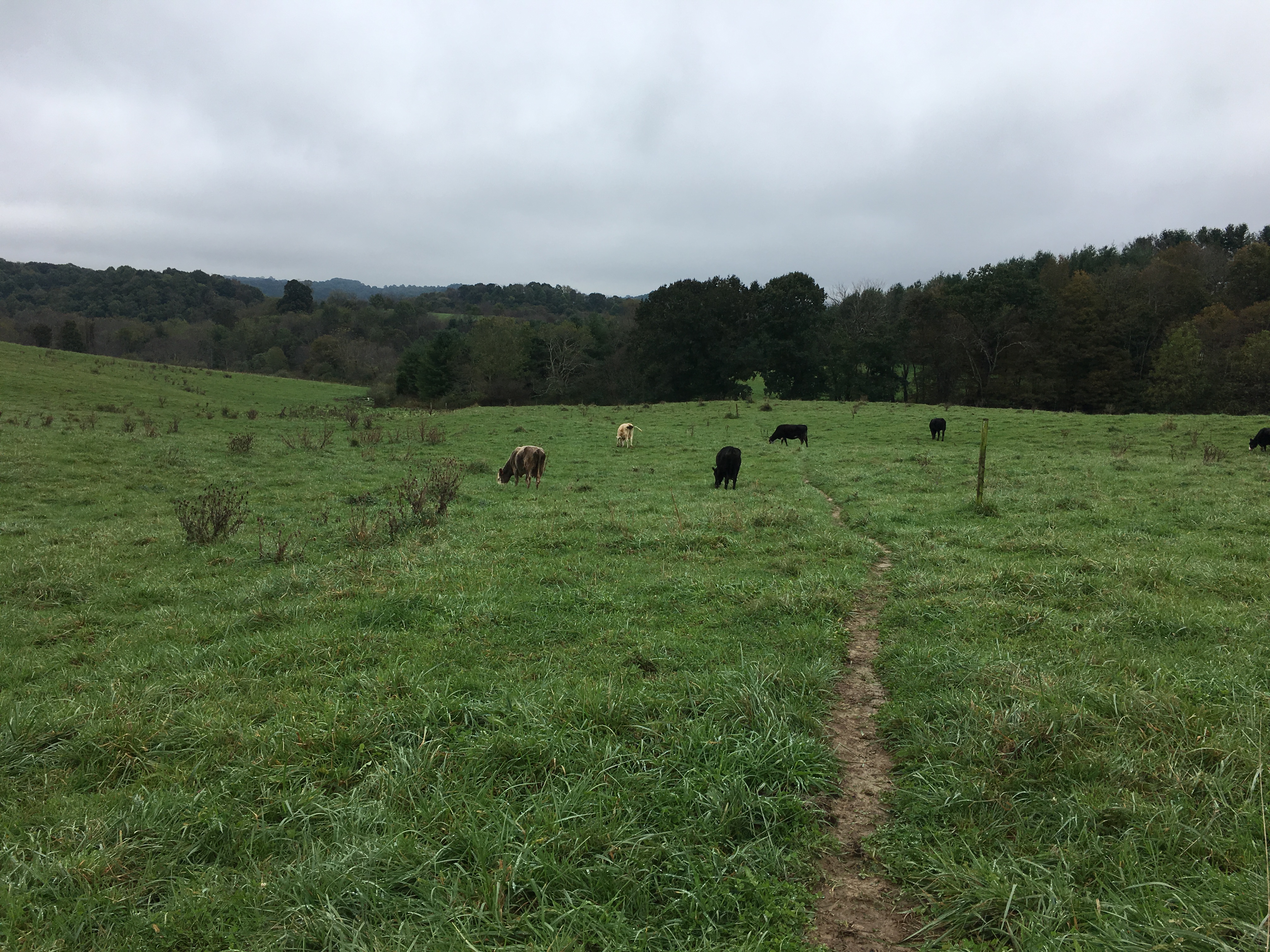 5CADA6B3-2BE1-4345-ACF7-5DF9FB80BC84