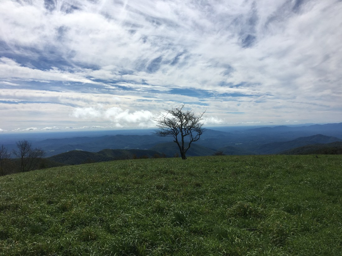 5D6F1FCE-B26D-4593-A98E-46FE3F0F3C2A