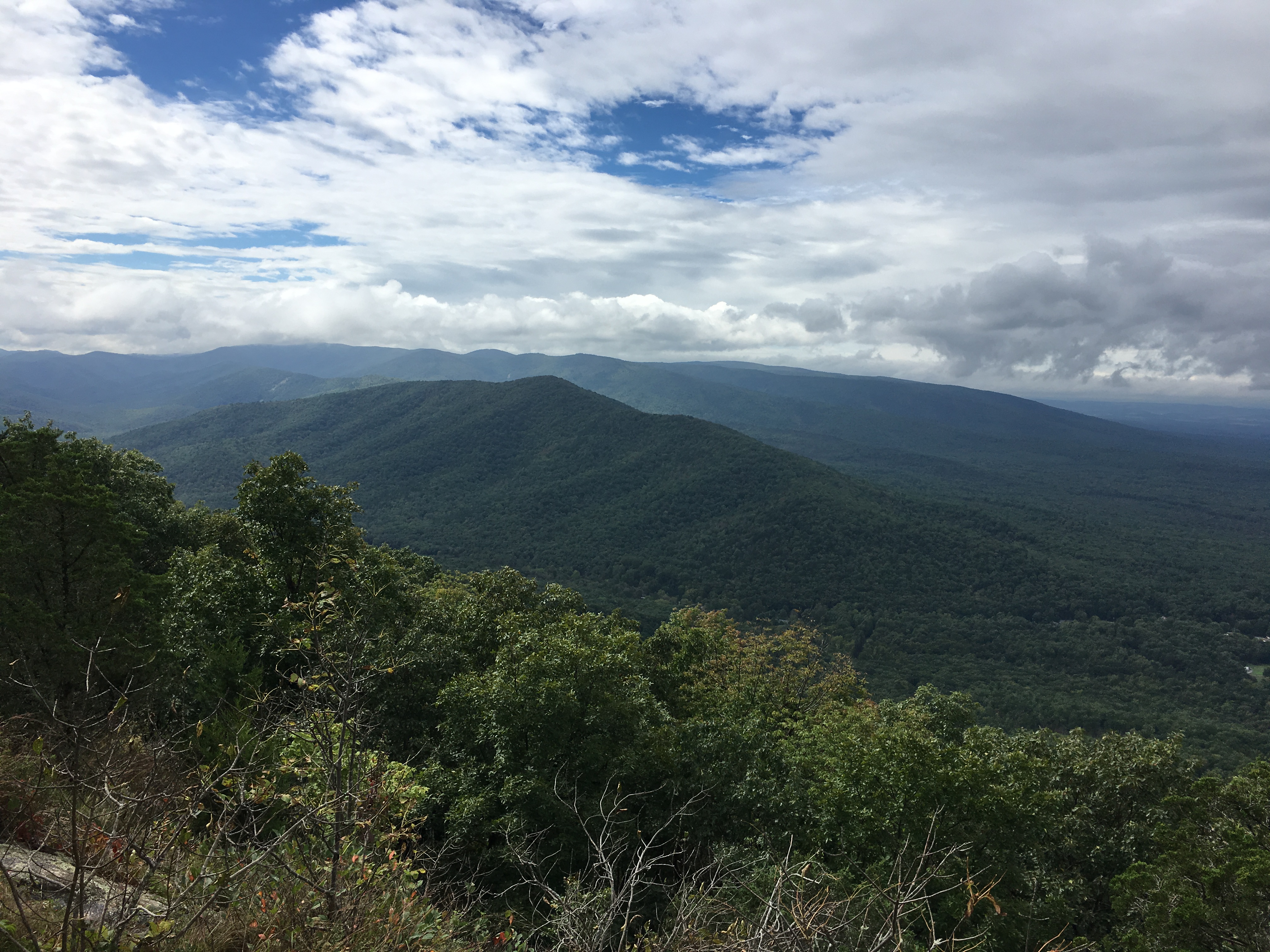 60E2795F-EE5A-4097-9A15-26E56C7ED85D