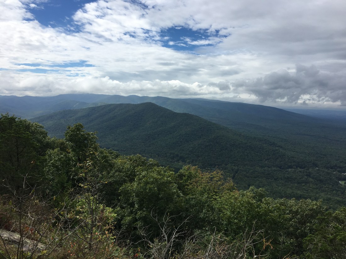 60E2795F-EE5A-4097-9A15-26E56C7ED85D