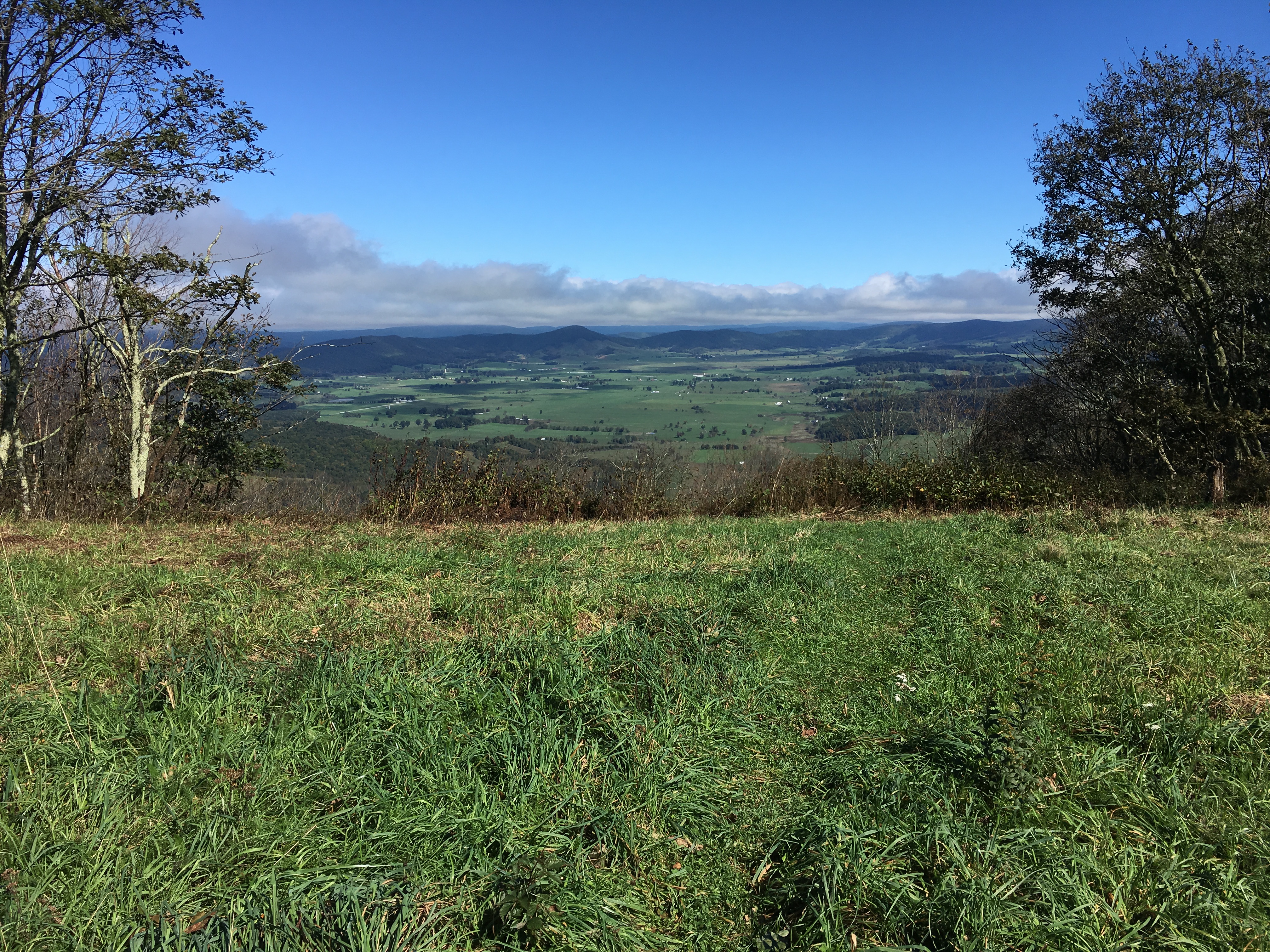 65ED32A0-9D99-4533-98F1-999C7FB542FF