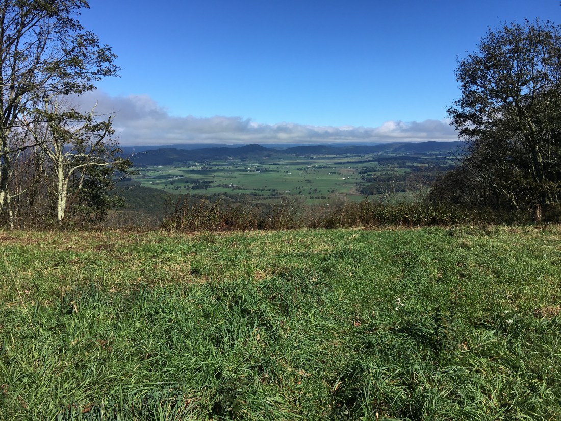 65ED32A0-9D99-4533-98F1-999C7FB542FF