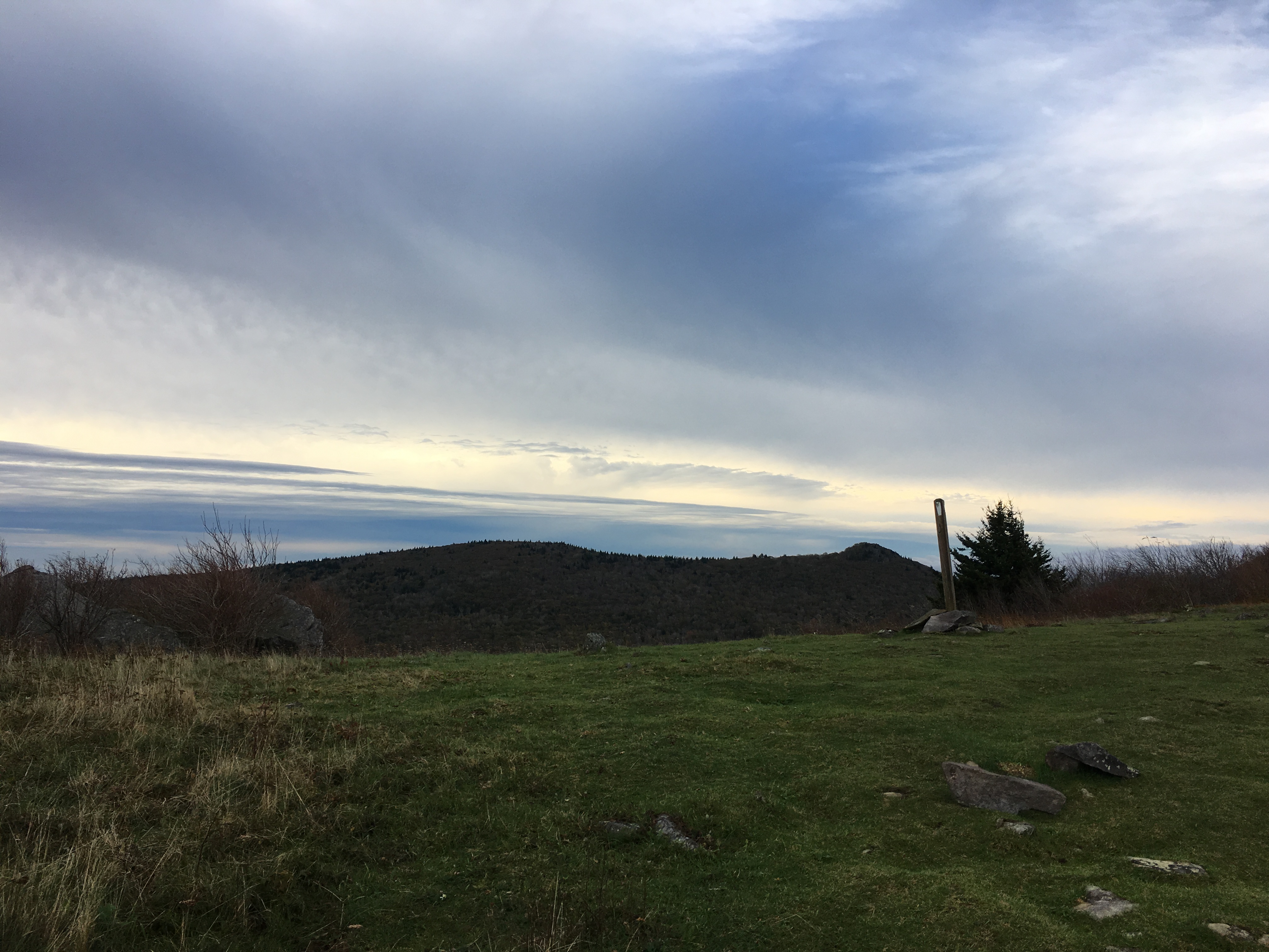 67804C63-A86B-4B2C-BDD4-9737299ECAAF