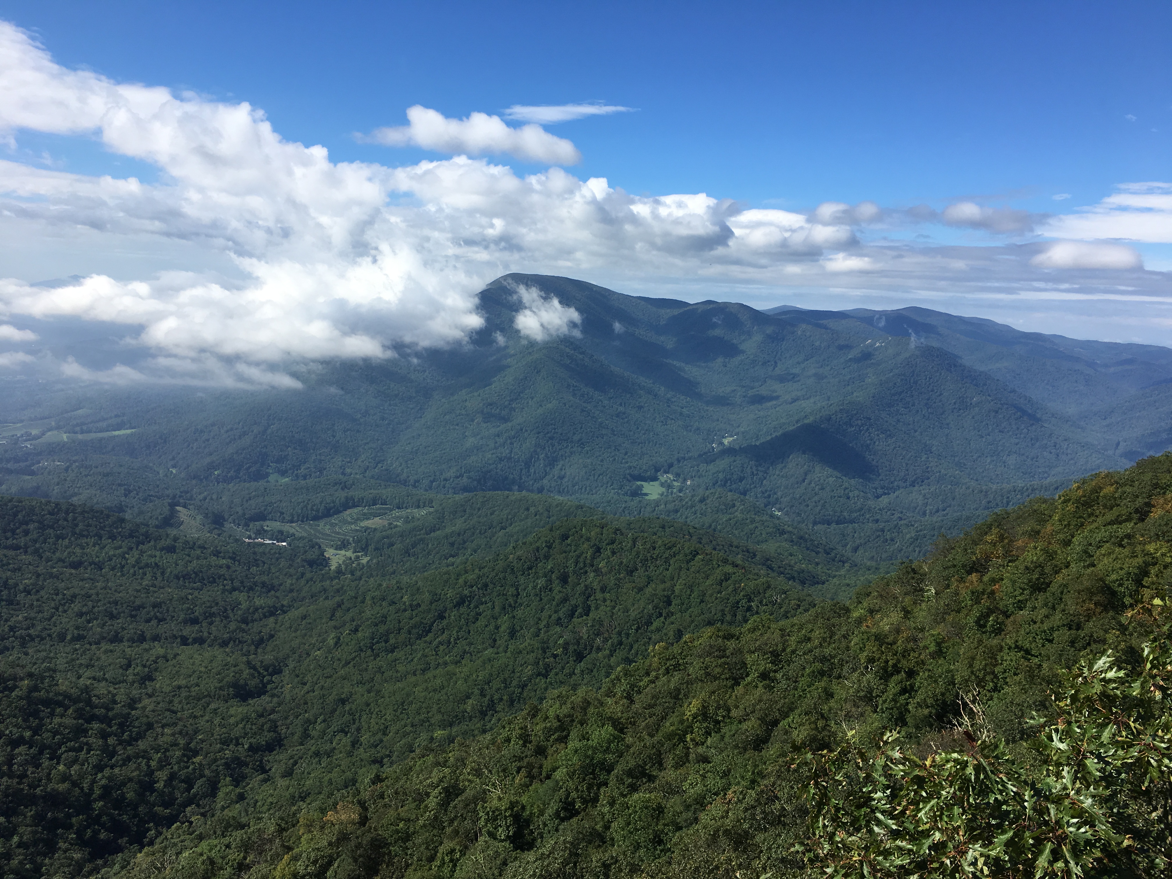 81937C30-EA5D-479A-AA77-DFE37D8DFE85