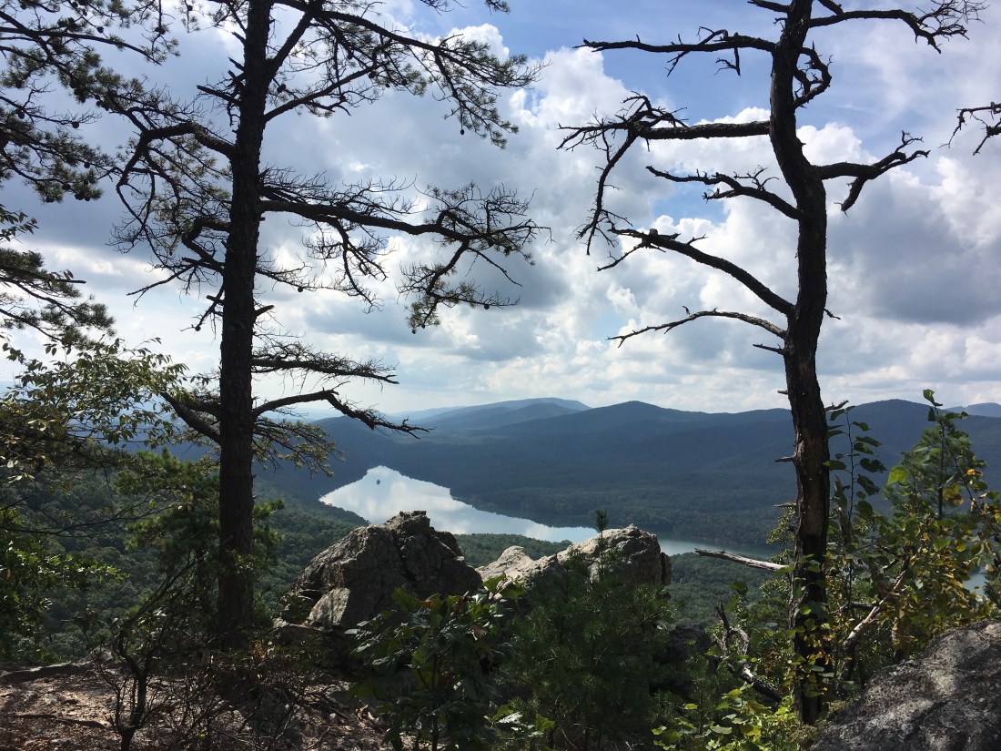 84536DA5-BD6E-4170-BC6F-EC5685054D3C