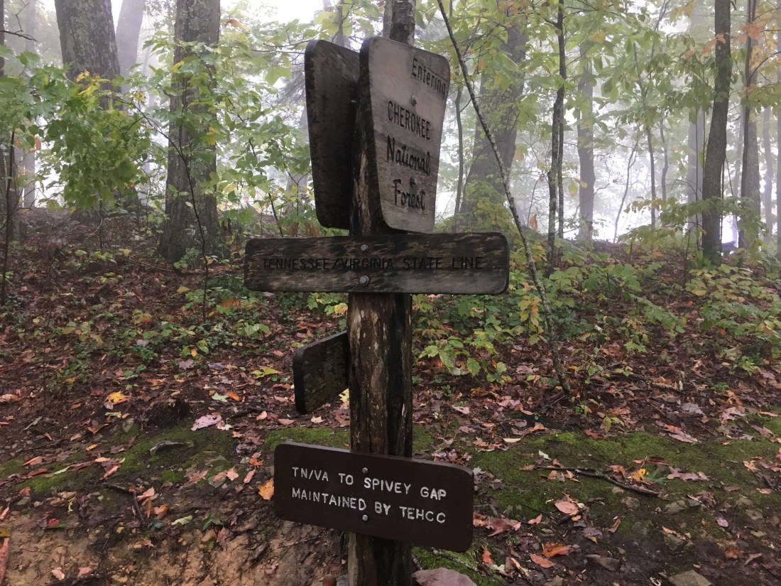 85E25463-64A4-4073-B4B3-98BF7268FC0E