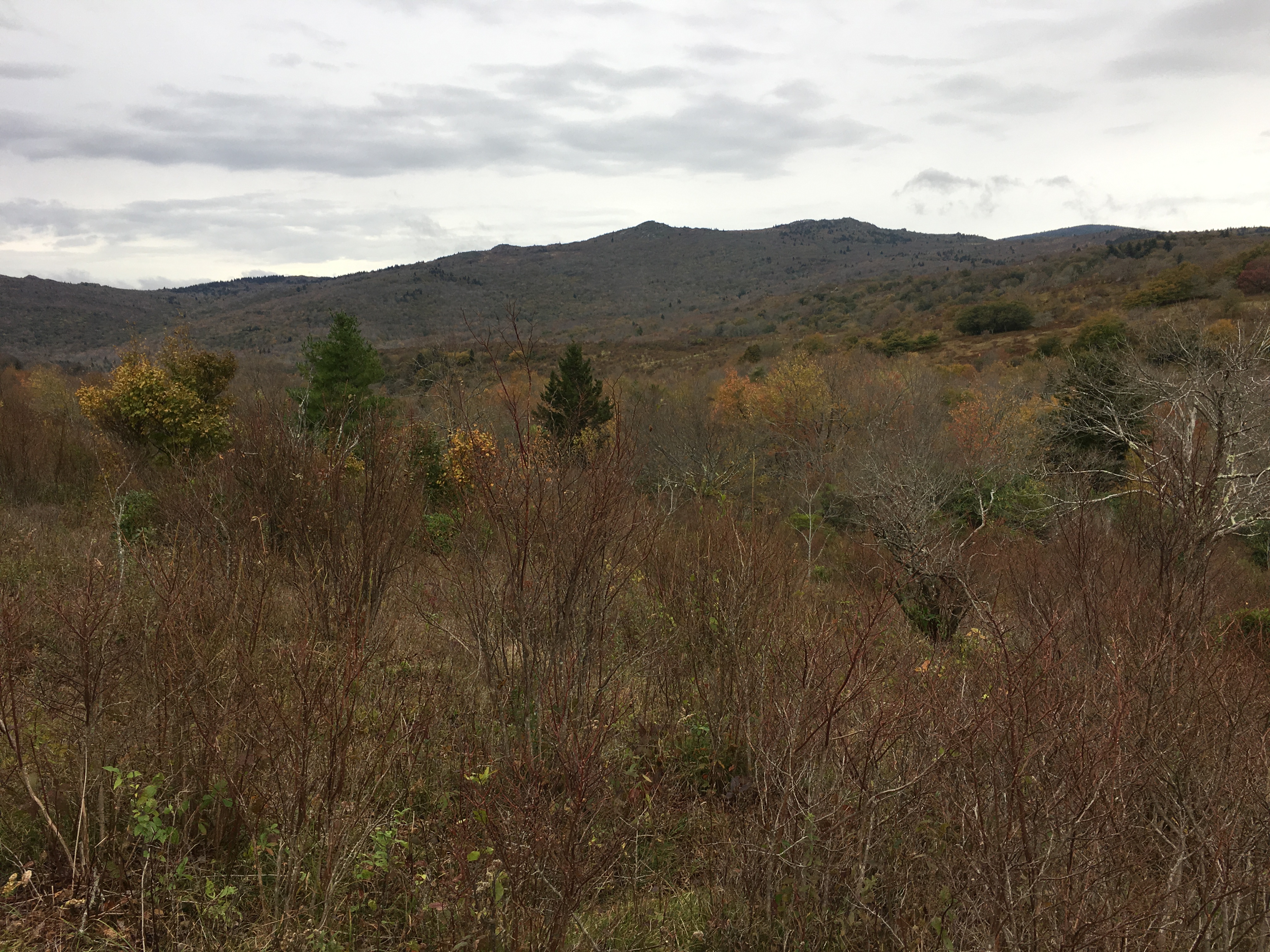 8E9598A6-6AC7-43C4-B7D5-EFC2FBDD61D4