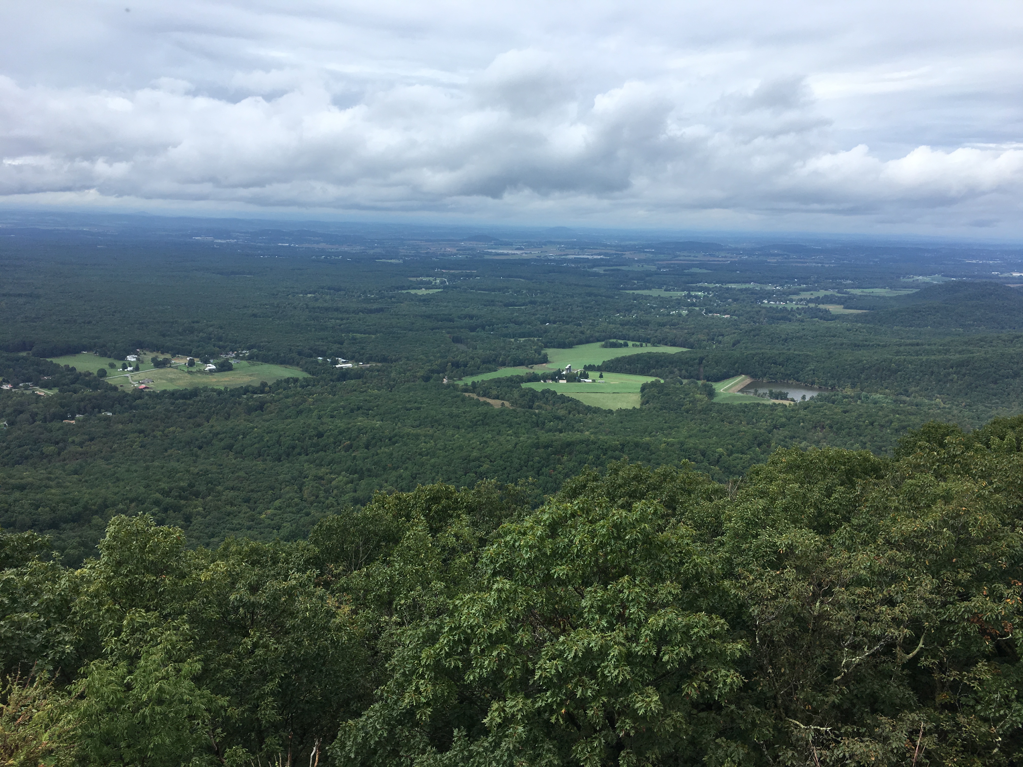 97898201-ED8B-4B17-B05D-EDB8DEA0C00B