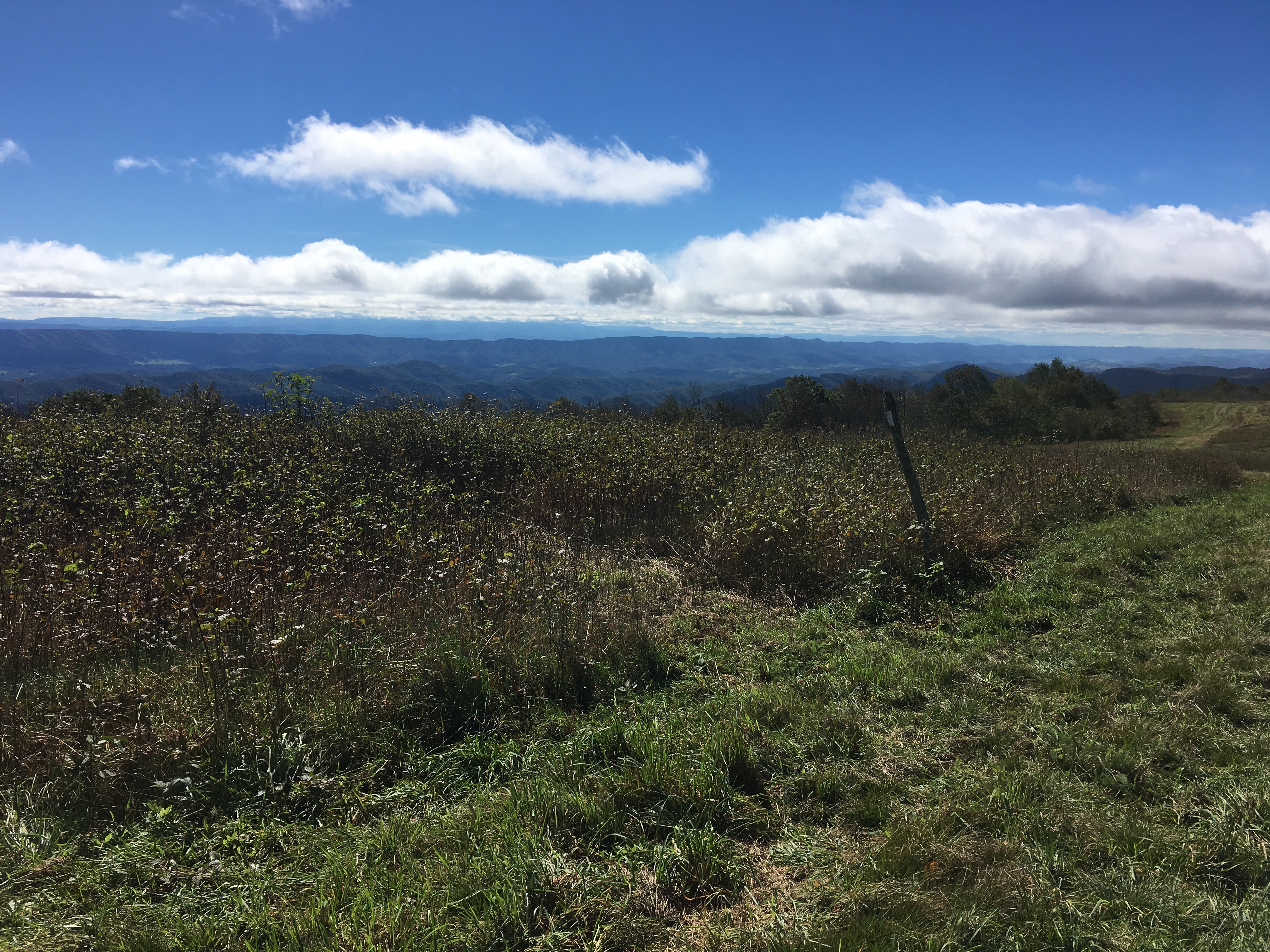 B09AB511-042A-490F-9E12-6CA115DA4959