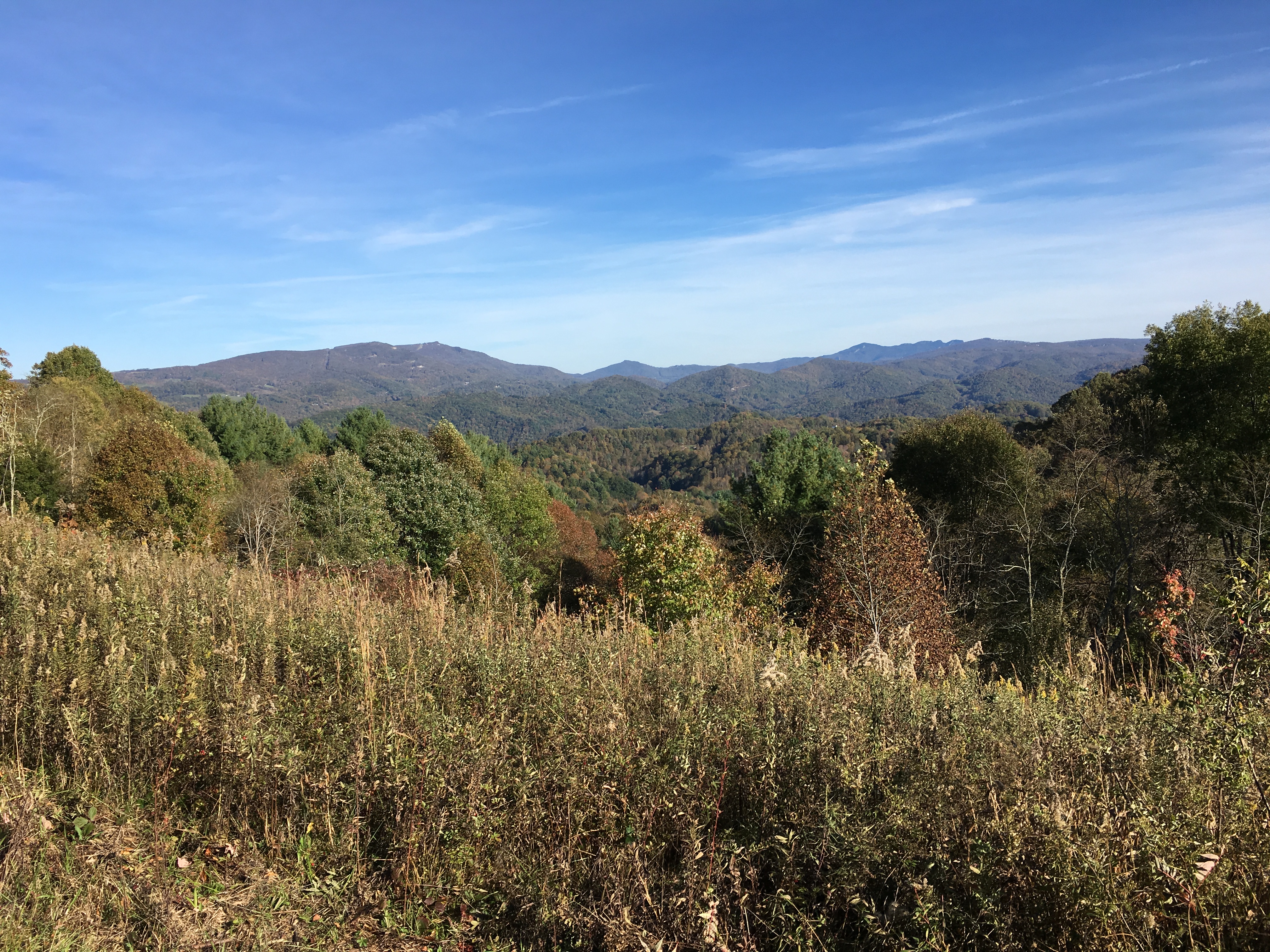 B0B576B2-28F7-4AB3-A5B1-B308ED073EA6