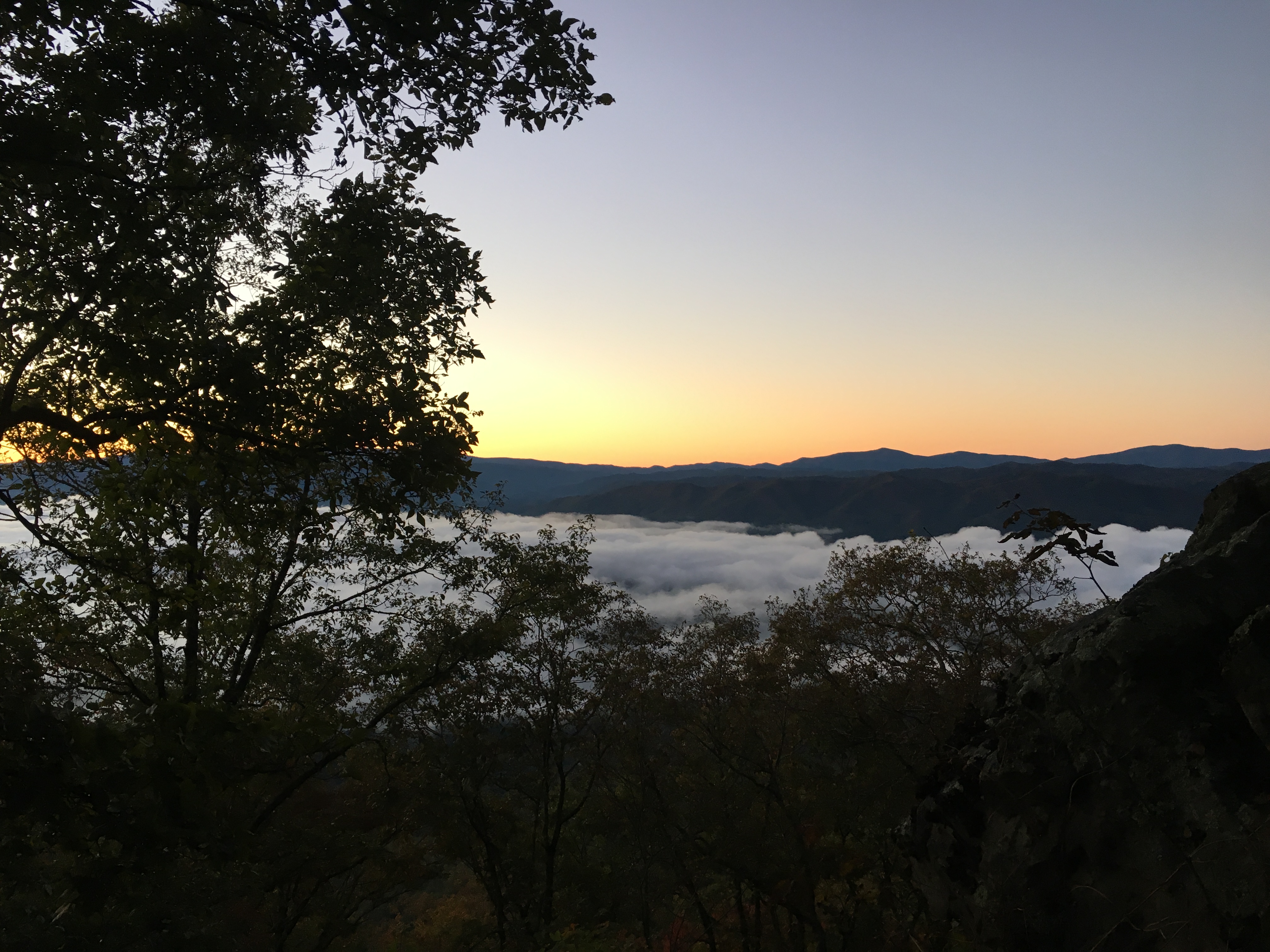 B33FD803-94D9-494F-BAA5-9480AE8963BC