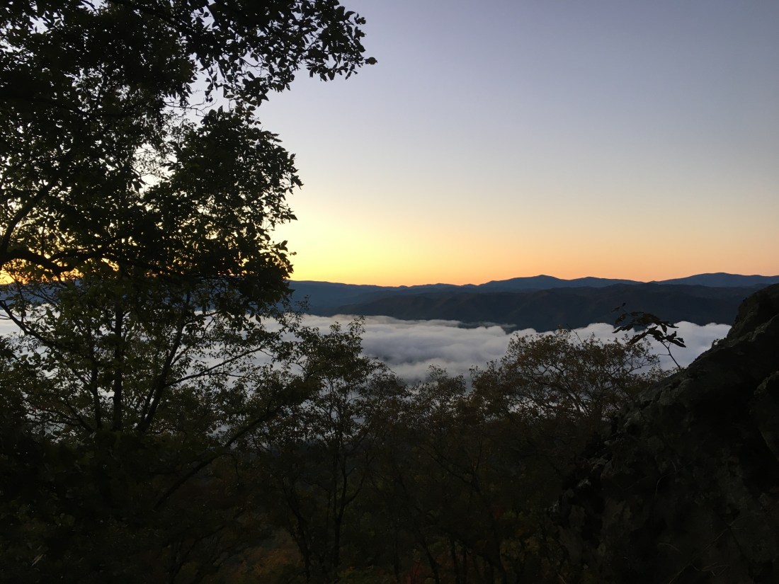 B33FD803-94D9-494F-BAA5-9480AE8963BC