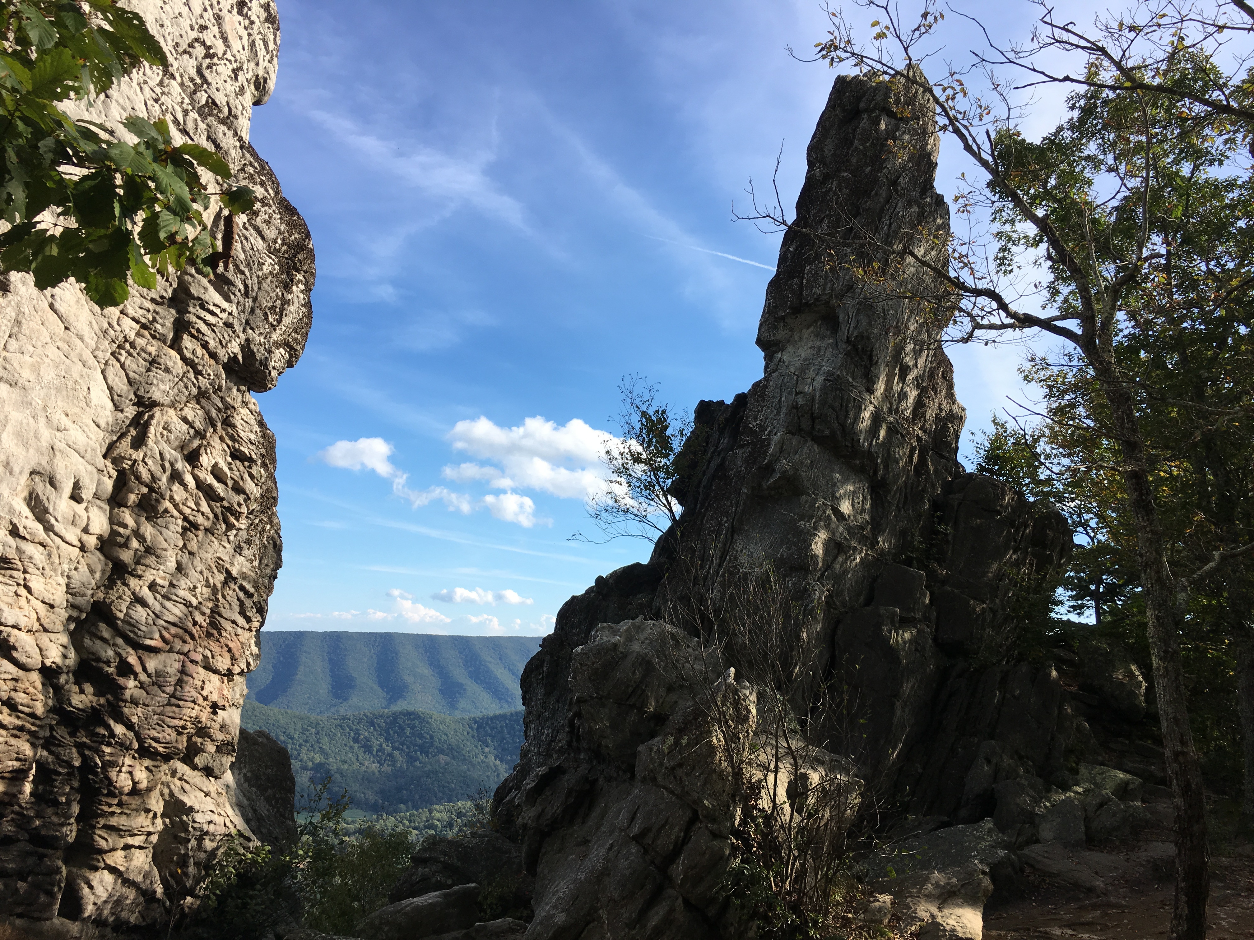 B8AC8171-79EB-4EA4-9AB6-2BAC21B1AF5E