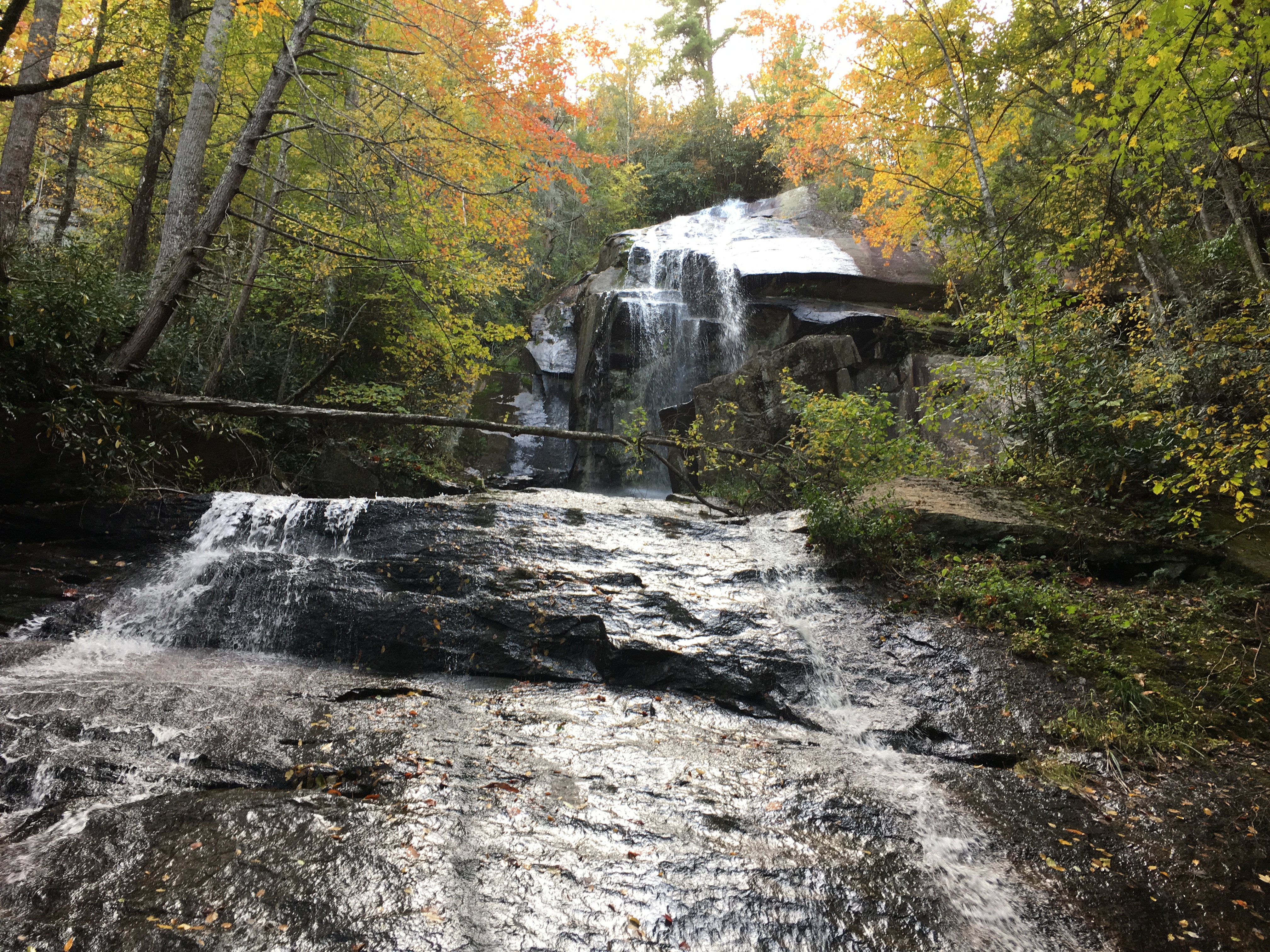 C2B96E43-8C10-4E5D-A950-E2B5D2BEF0F5