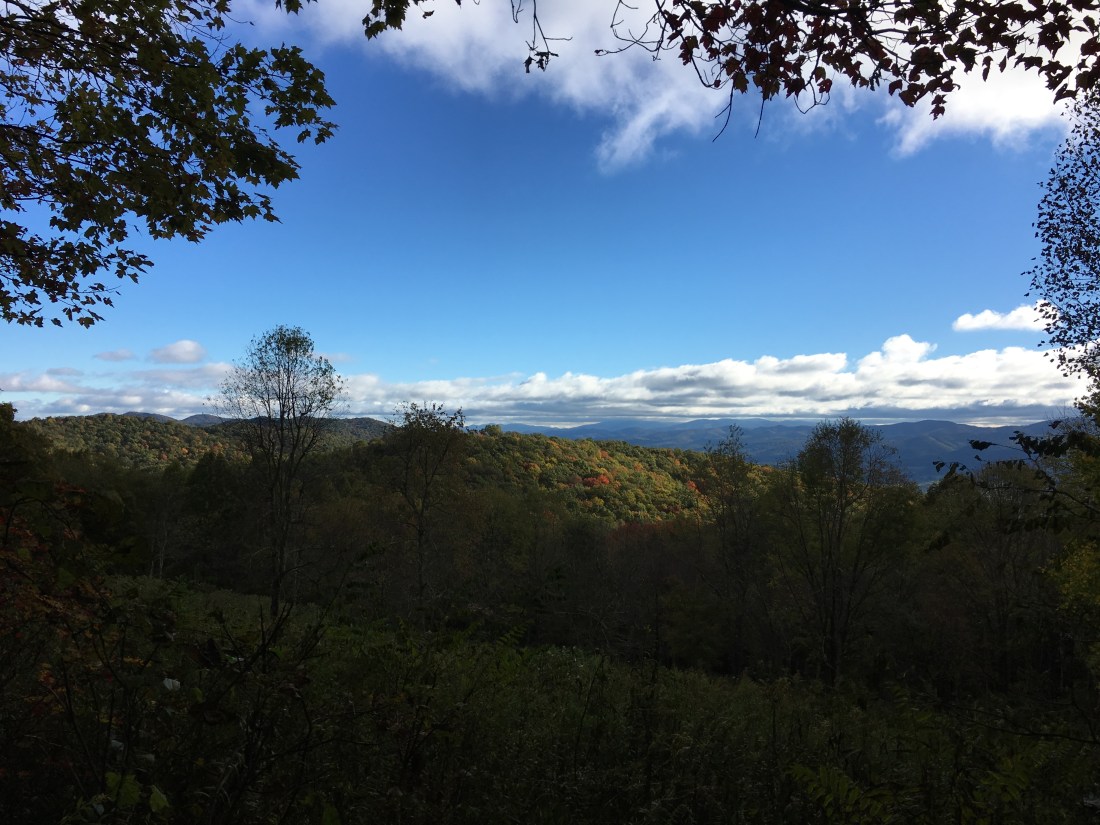 C8CA382E-2A01-4081-881E-FC11AD1FD365