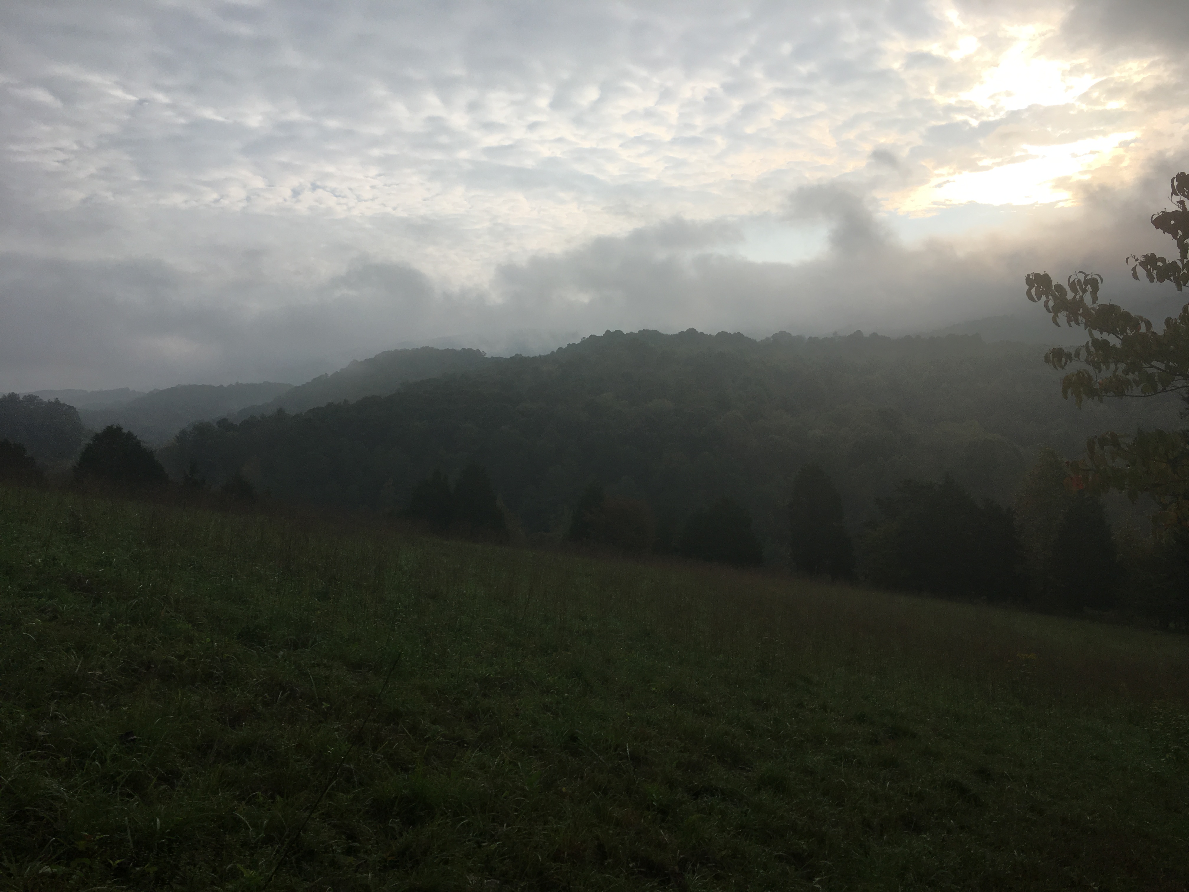 D1AB5940-09EA-4363-9681-6EB5DC5E45D4