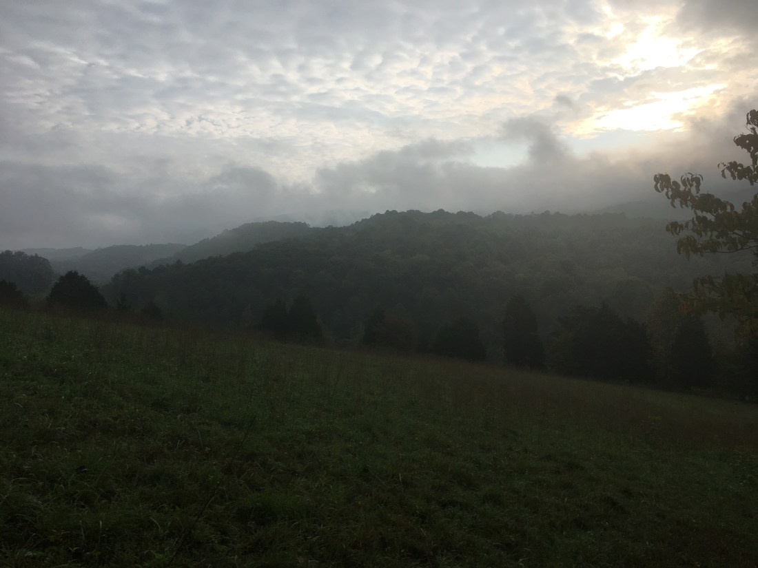 D1AB5940-09EA-4363-9681-6EB5DC5E45D4