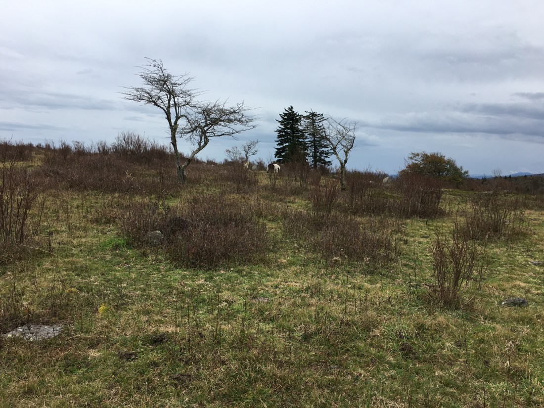 D2EEB05B-6BFE-4D60-9D1F-307E9F30BE7D