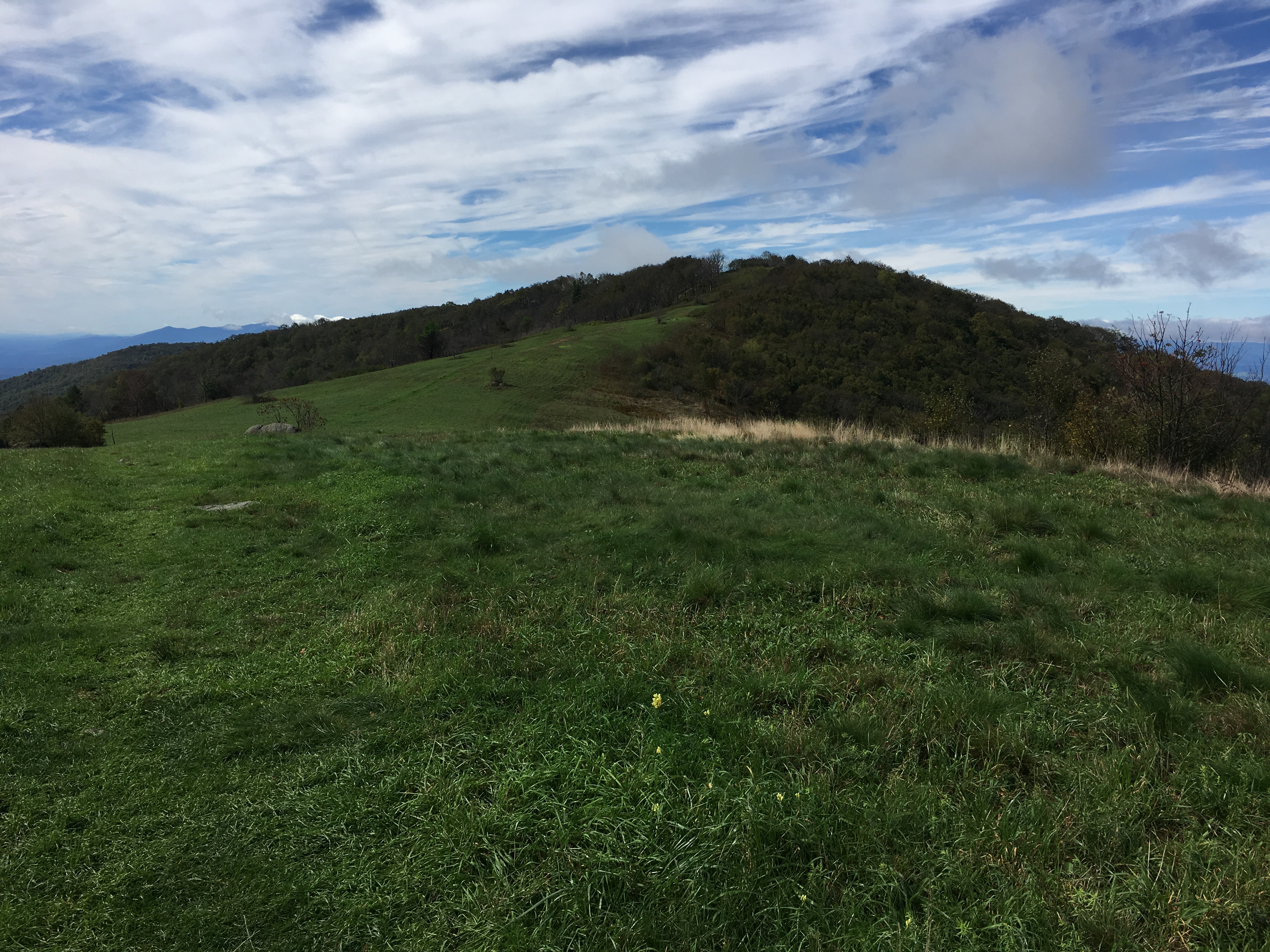 D95ABBCF-70C0-494D-9DF4-B745C8E60200