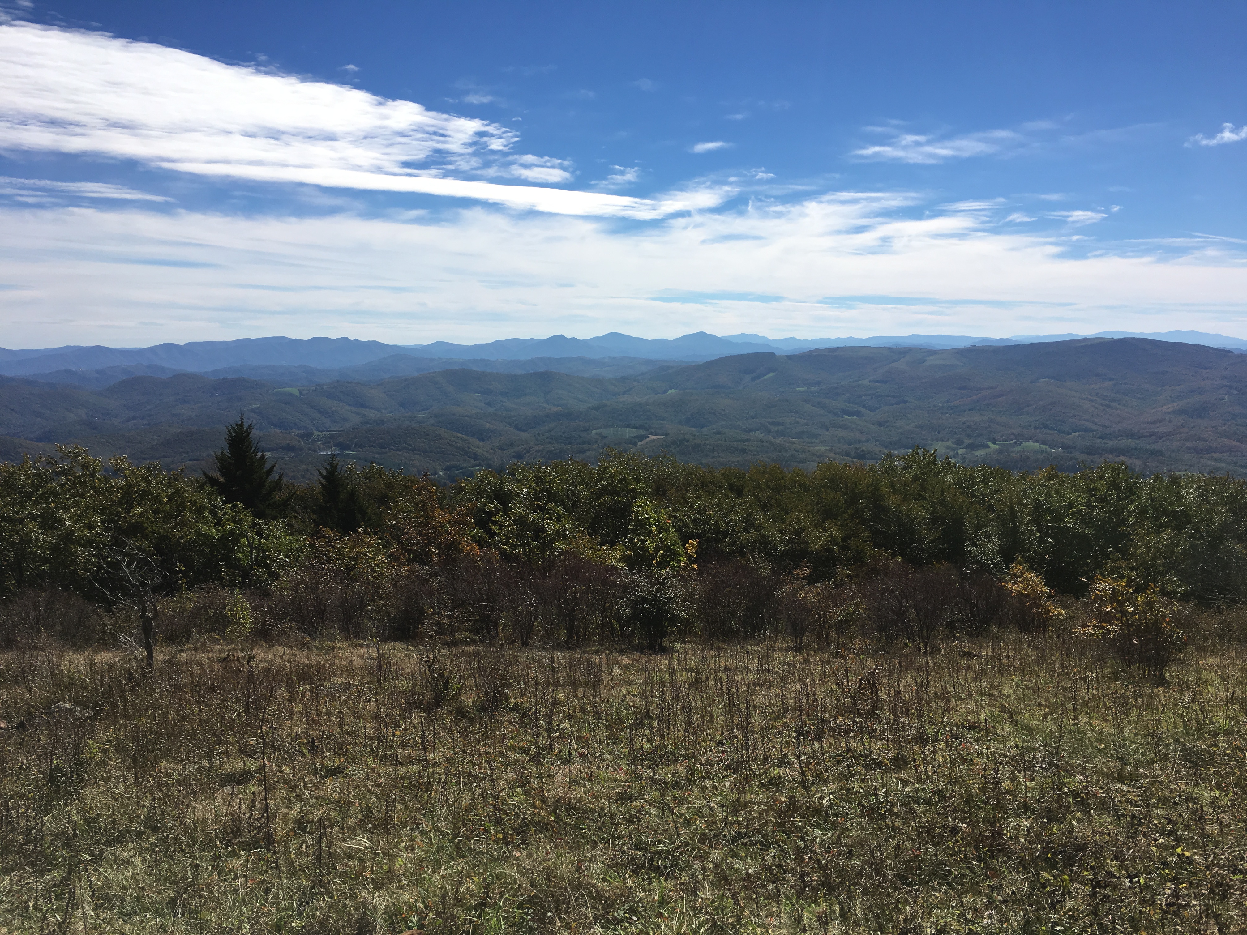 DA7C0053-FFF4-44EA-A580-279E83F614DD