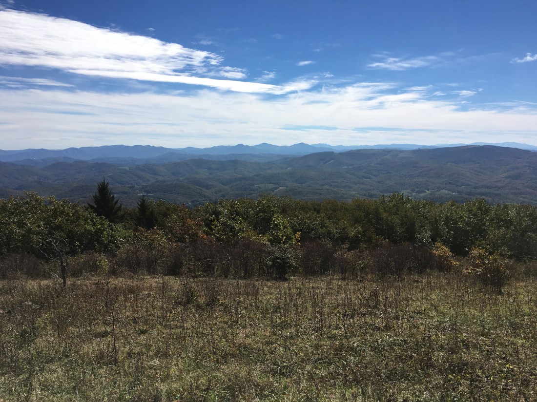 DA7C0053-FFF4-44EA-A580-279E83F614DD