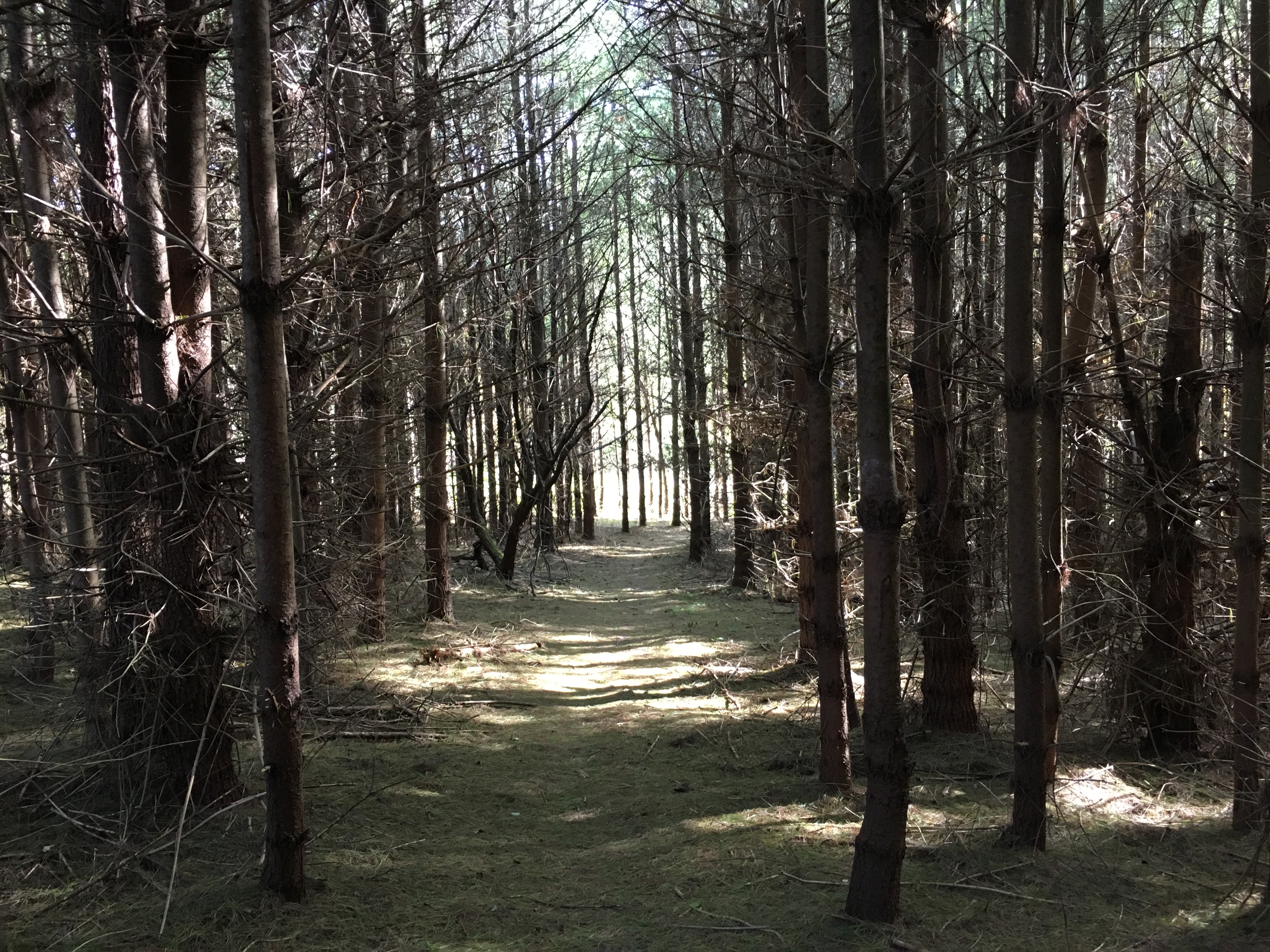 E58B4F04-072E-4020-924A-A9D0A0D9611C