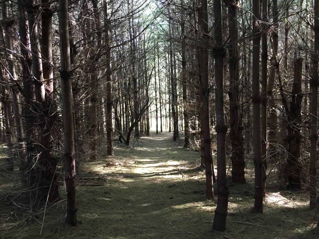 E58B4F04-072E-4020-924A-A9D0A0D9611C