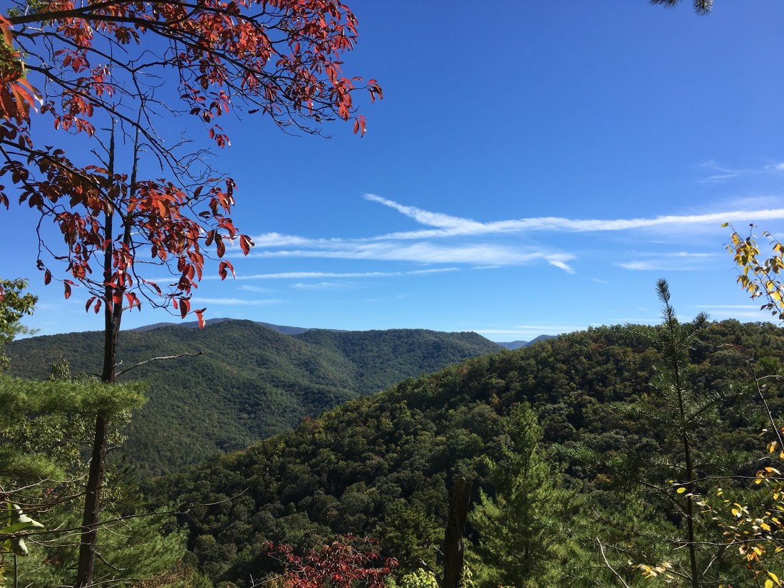 FFCDB135-3399-46BF-B63D-8E364C7B0392