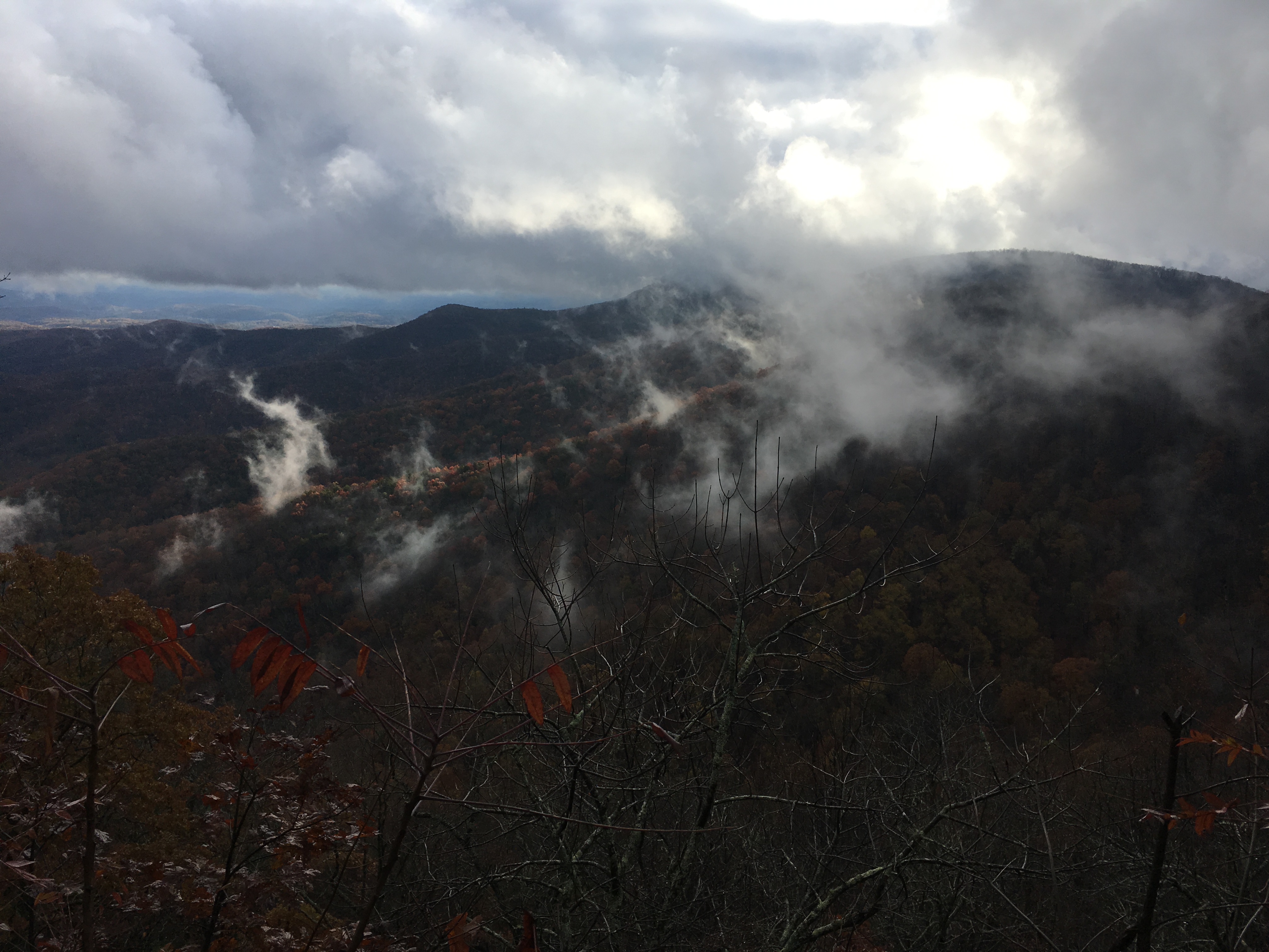 00F9120C-5070-4607-843B-F055232EE07A