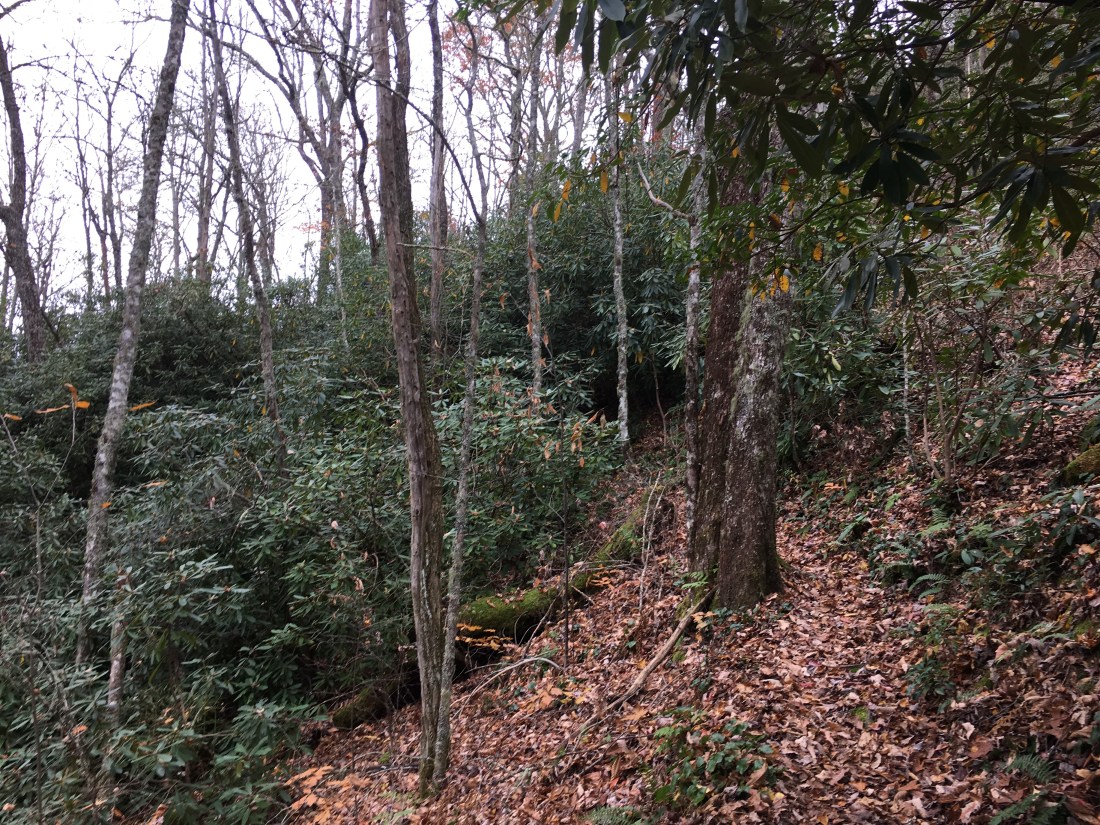 08260B7D-202F-4582-AD56-3503A8C58BB4