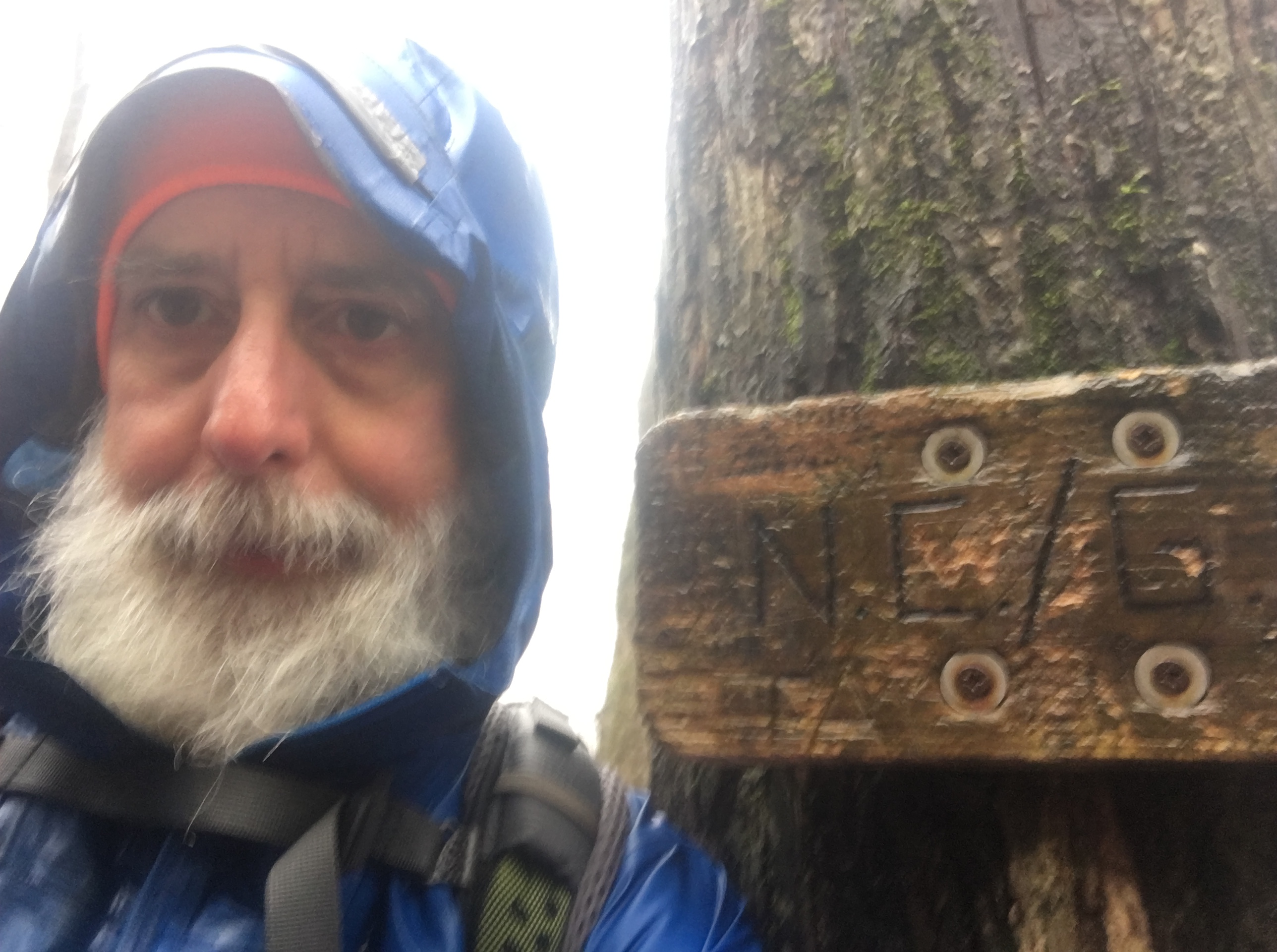 0BB11B5F-3BC8-40D2-B6EF-54CA3F15E550