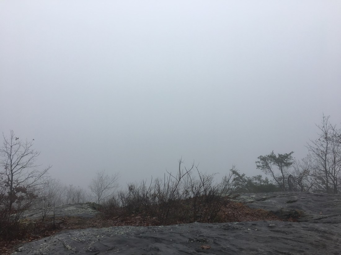 1AFF0300-9BA4-457A-8BD7-22F8B3D102FB