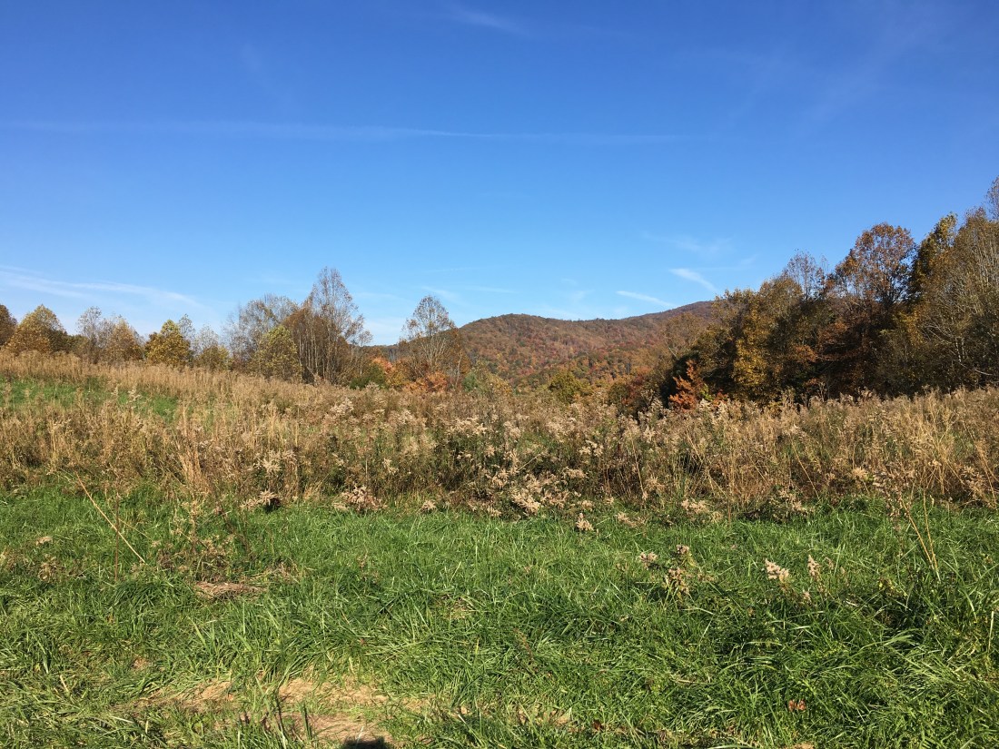 2CDDF7D2-CCCE-4ADE-8888-754EE352B699