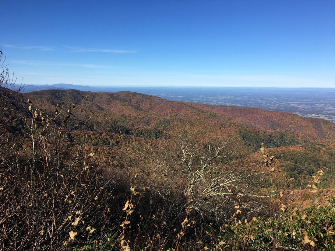 359E799B-1D29-482E-A685-17629019C607