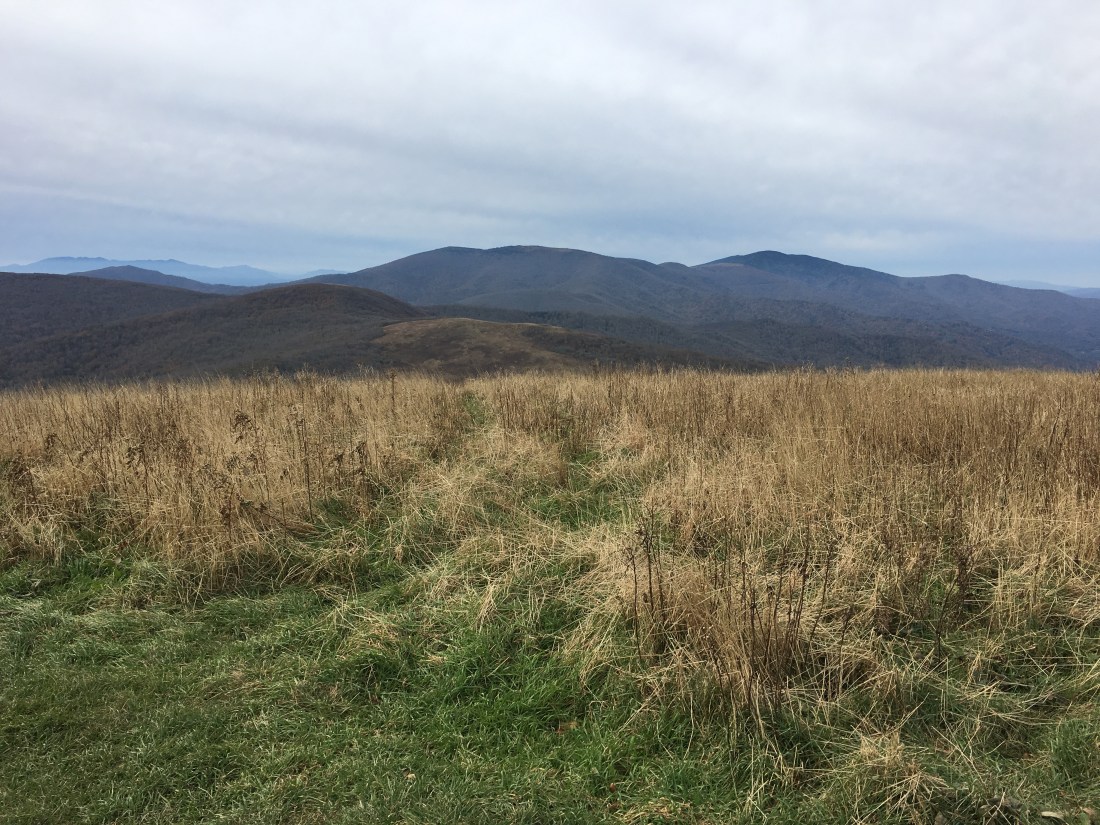 3DC49B25-1EB3-4A80-8CE2-FD45854A74C9