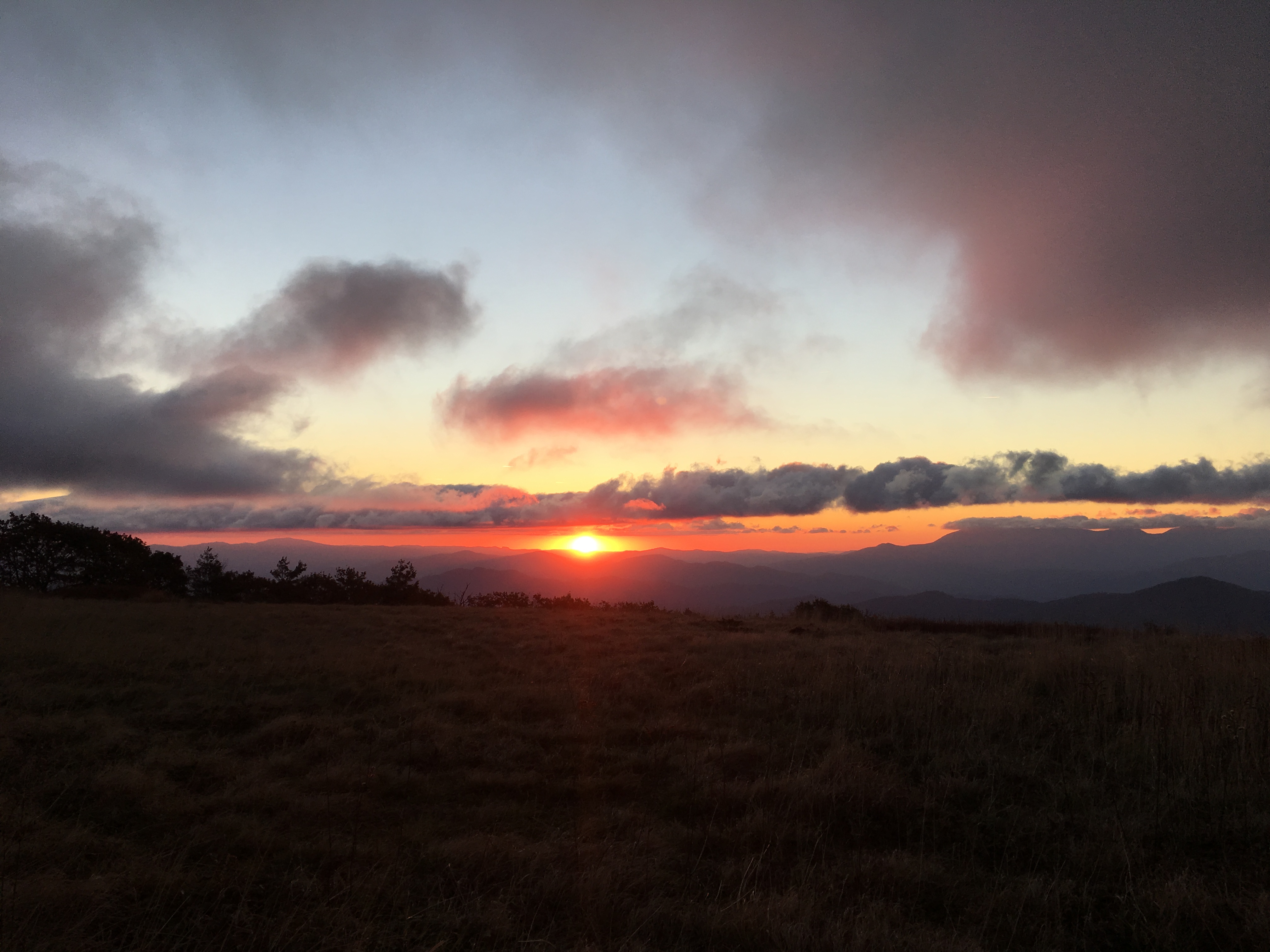 494D035C-867F-40AD-A78D-0F56DAEC1244