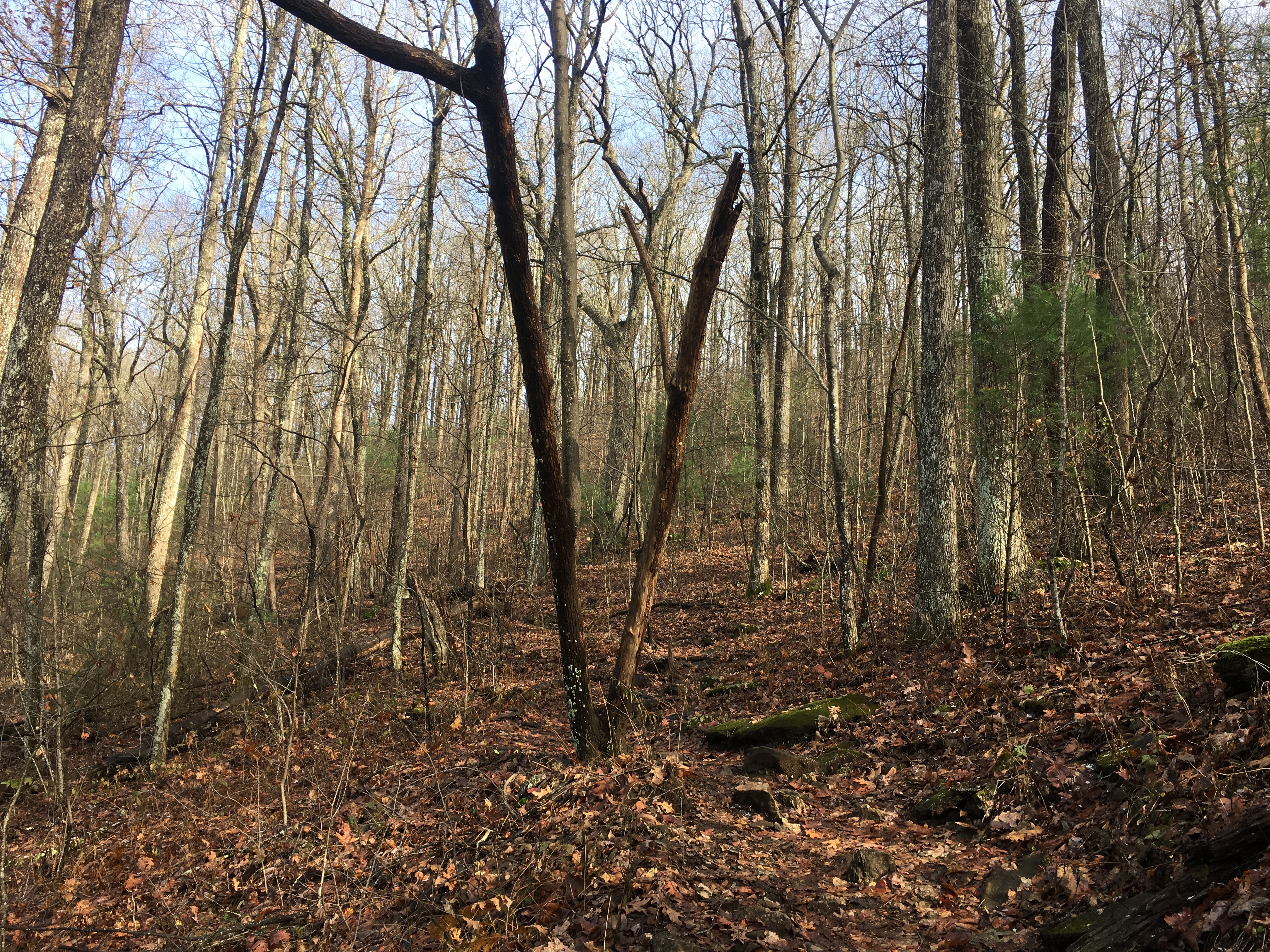 502F96C1-63BF-4EF3-88A8-2CD8473EC5A5